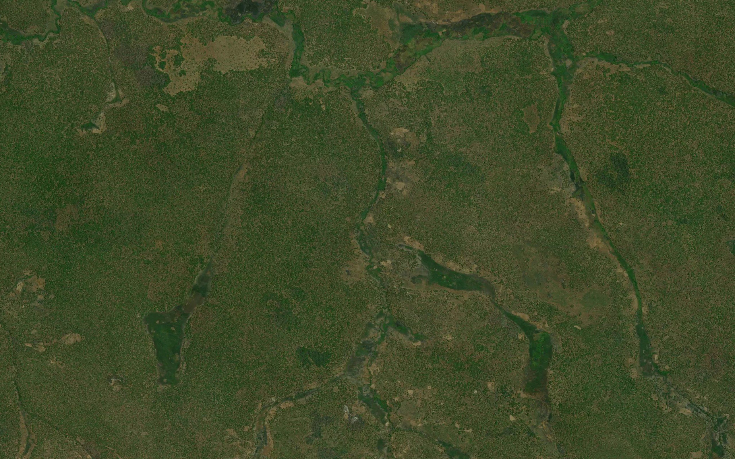 Kankunkwe