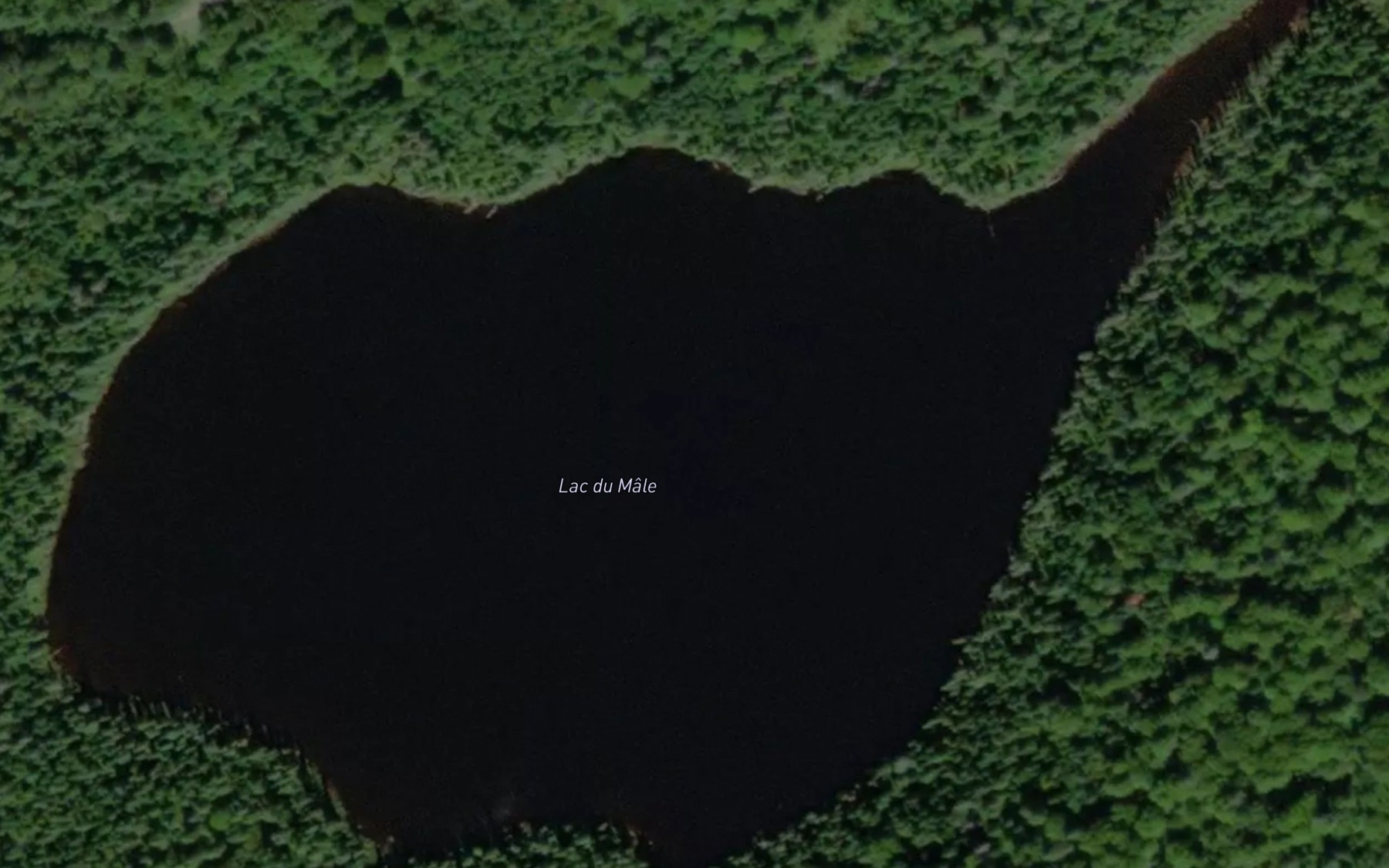 Satellite map of the Lac du Male