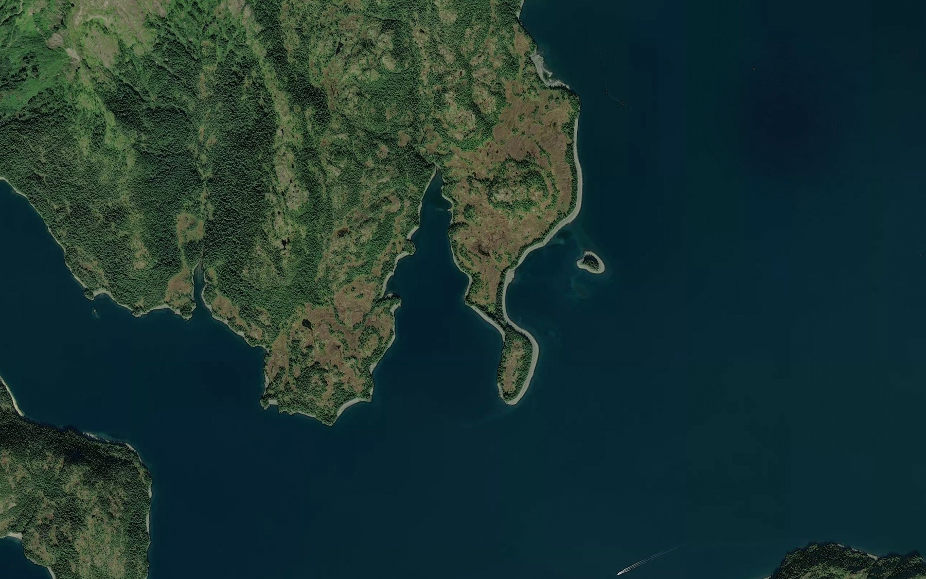Satellite map of the Buyers Cove