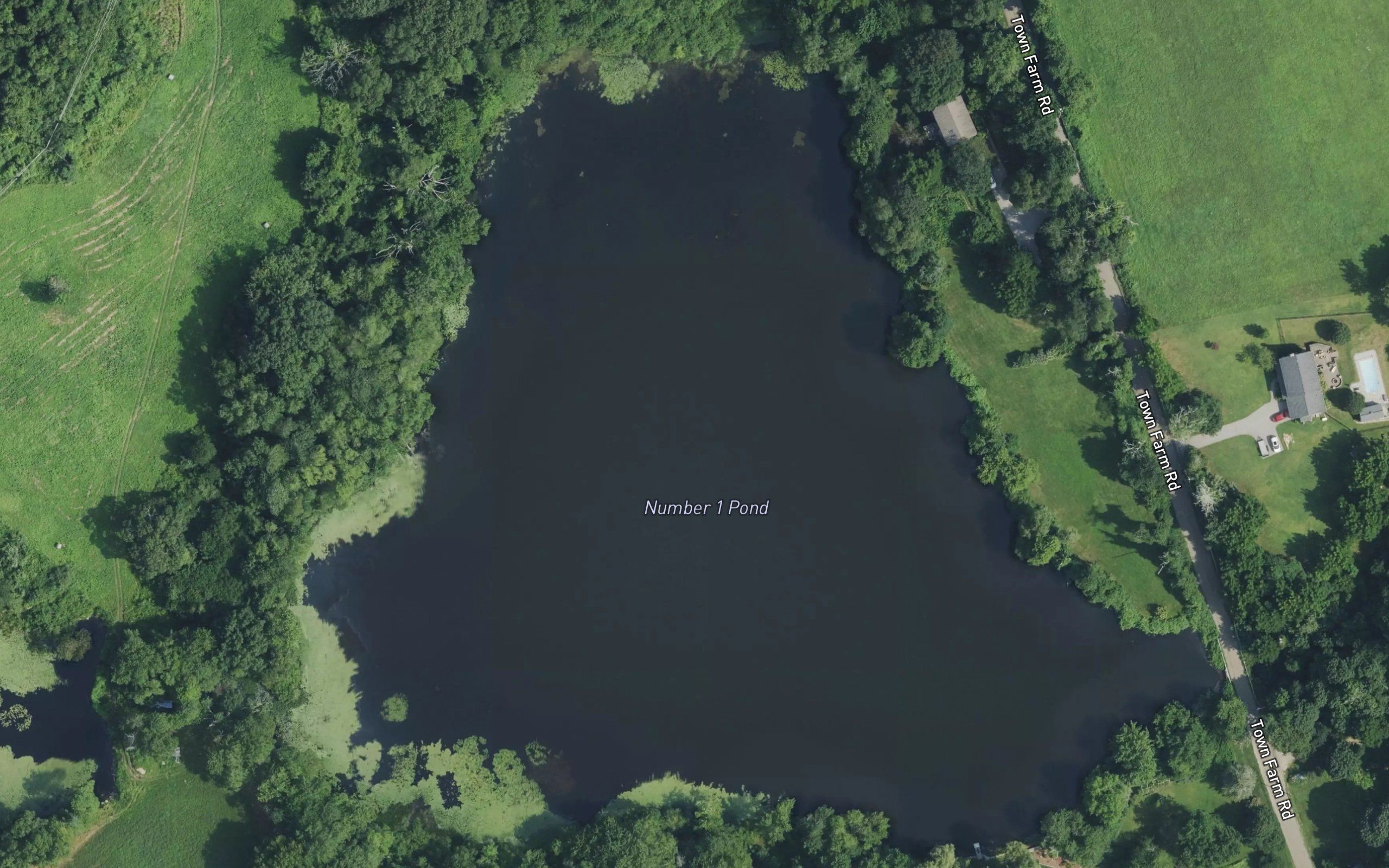 Number One Pond