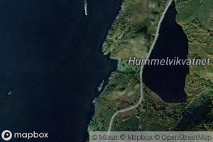 Hommelvika,l