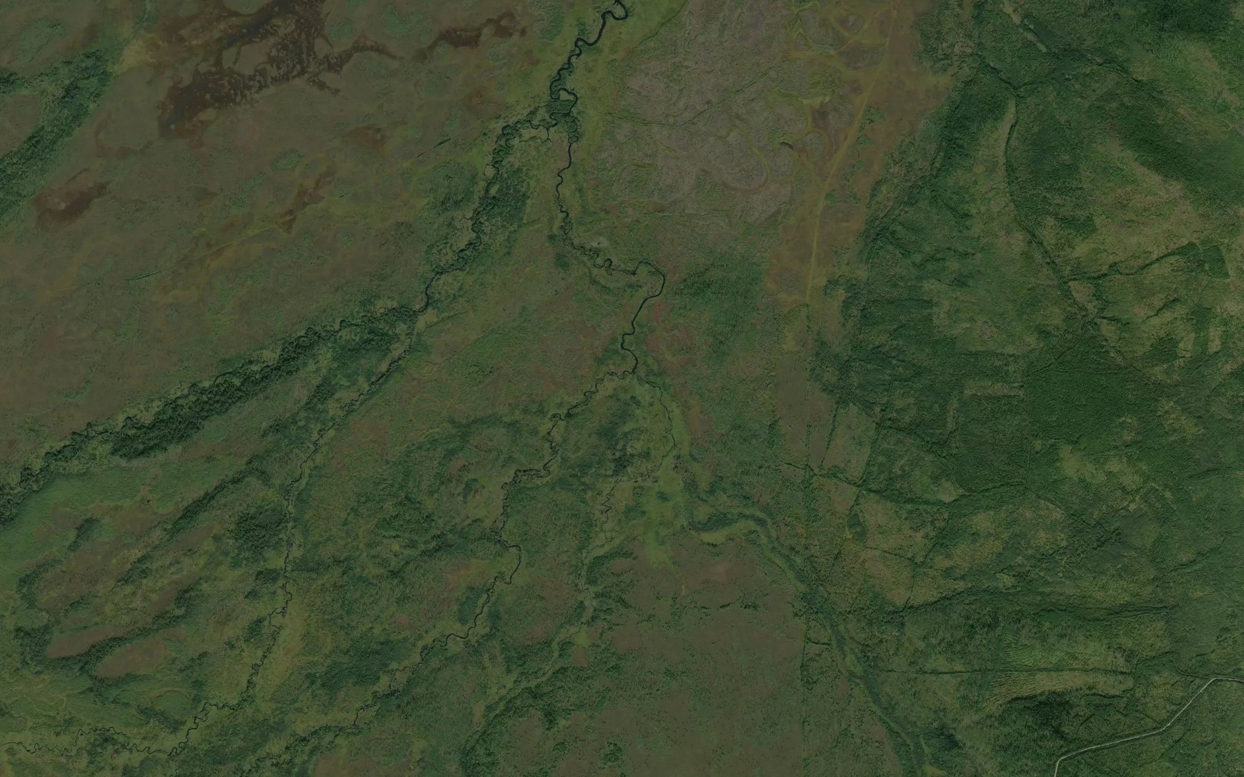 Satellite map of the Losinyy