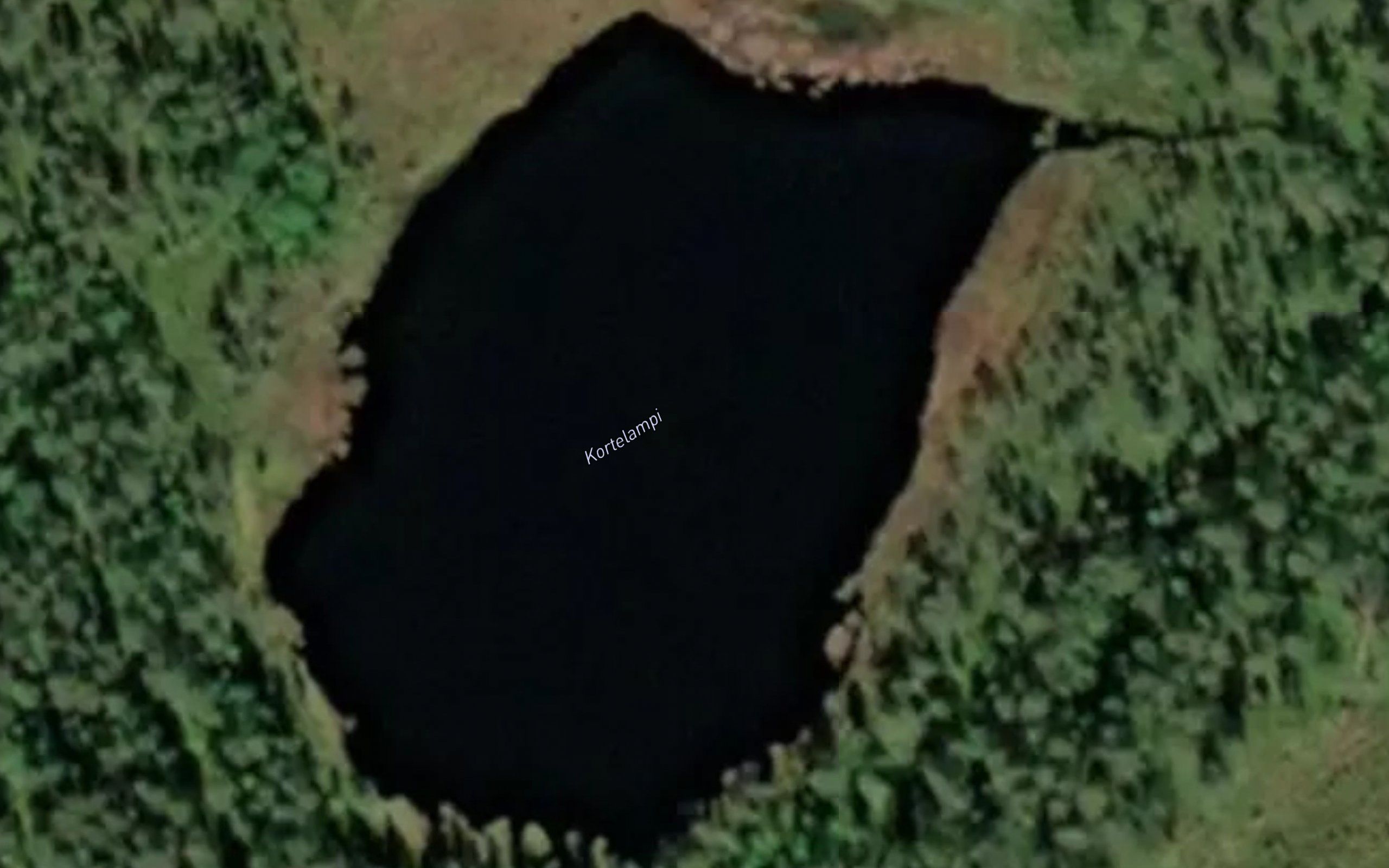 Kortelampi