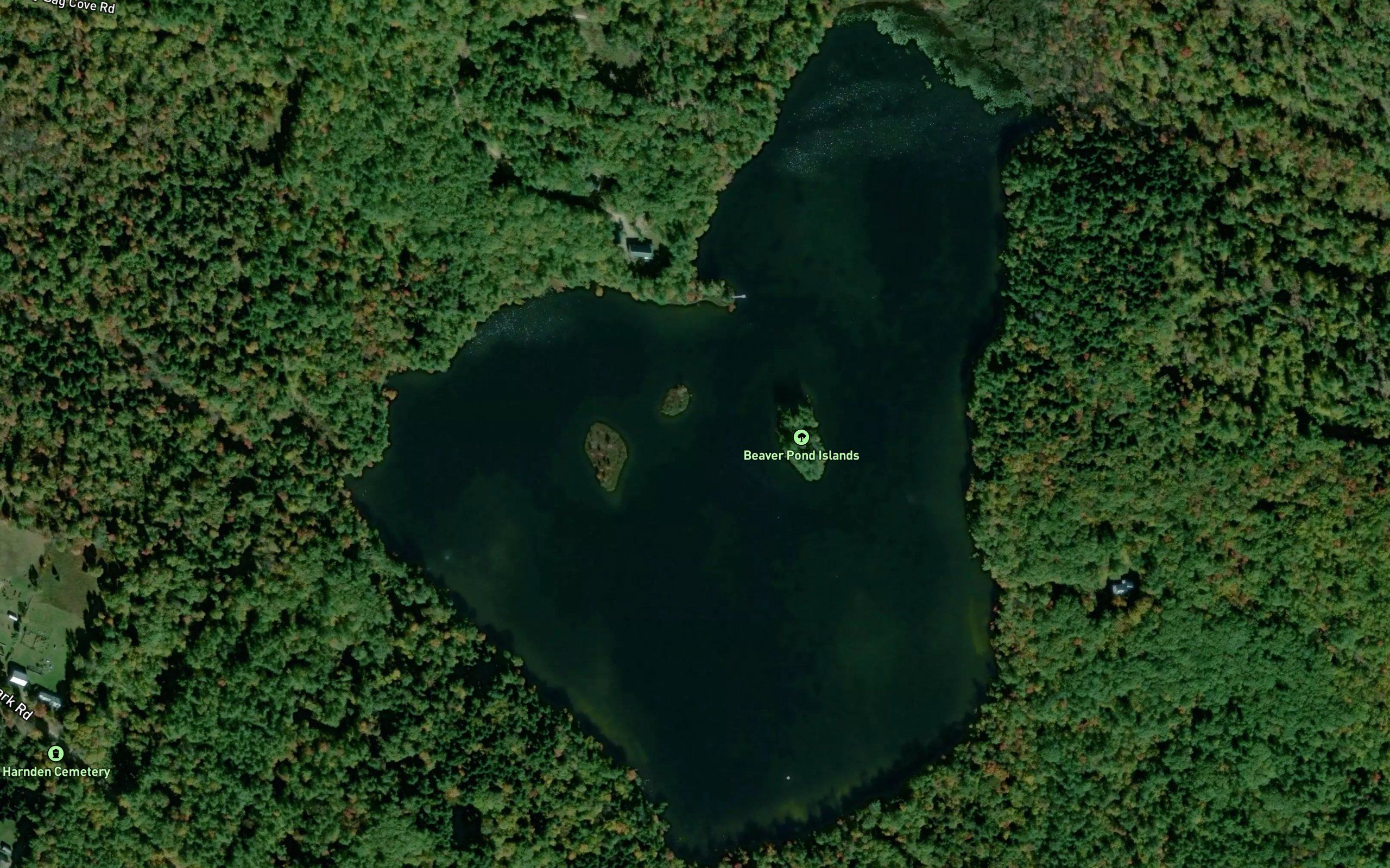 Beaver Pond