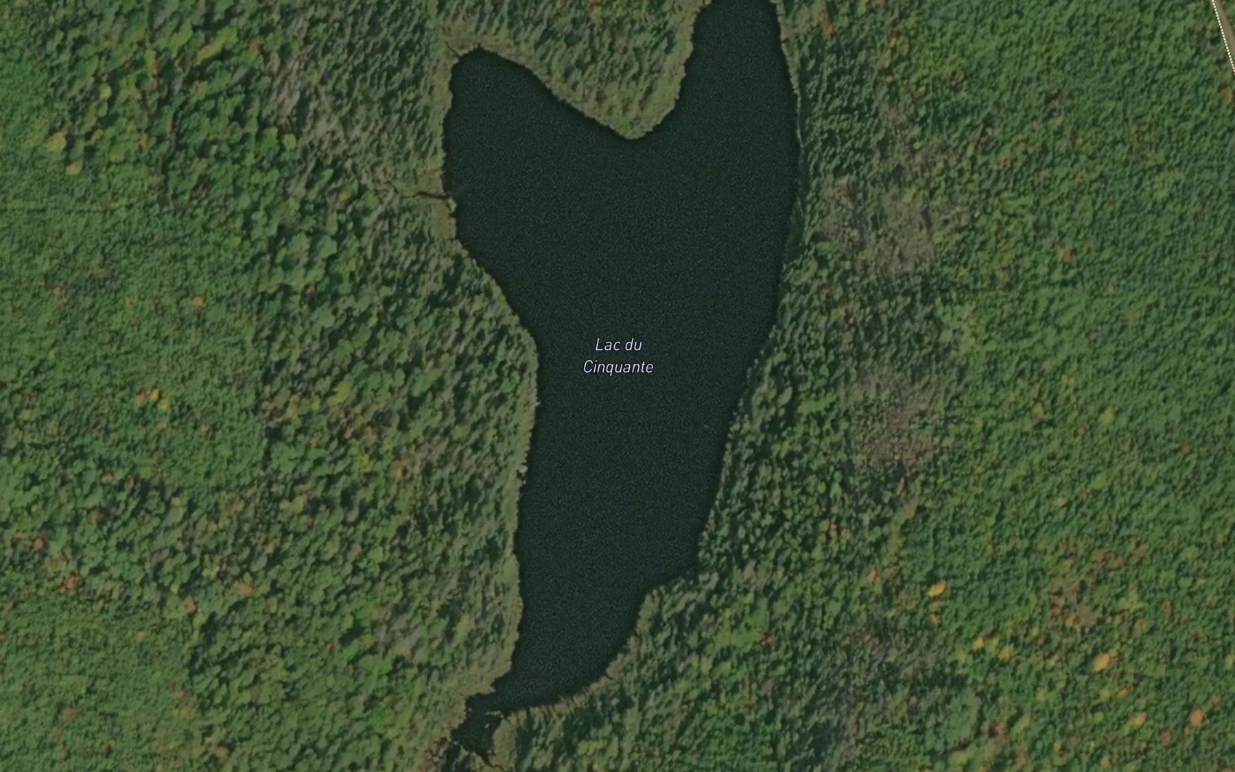 Satellite map of the Lac du Cinquante