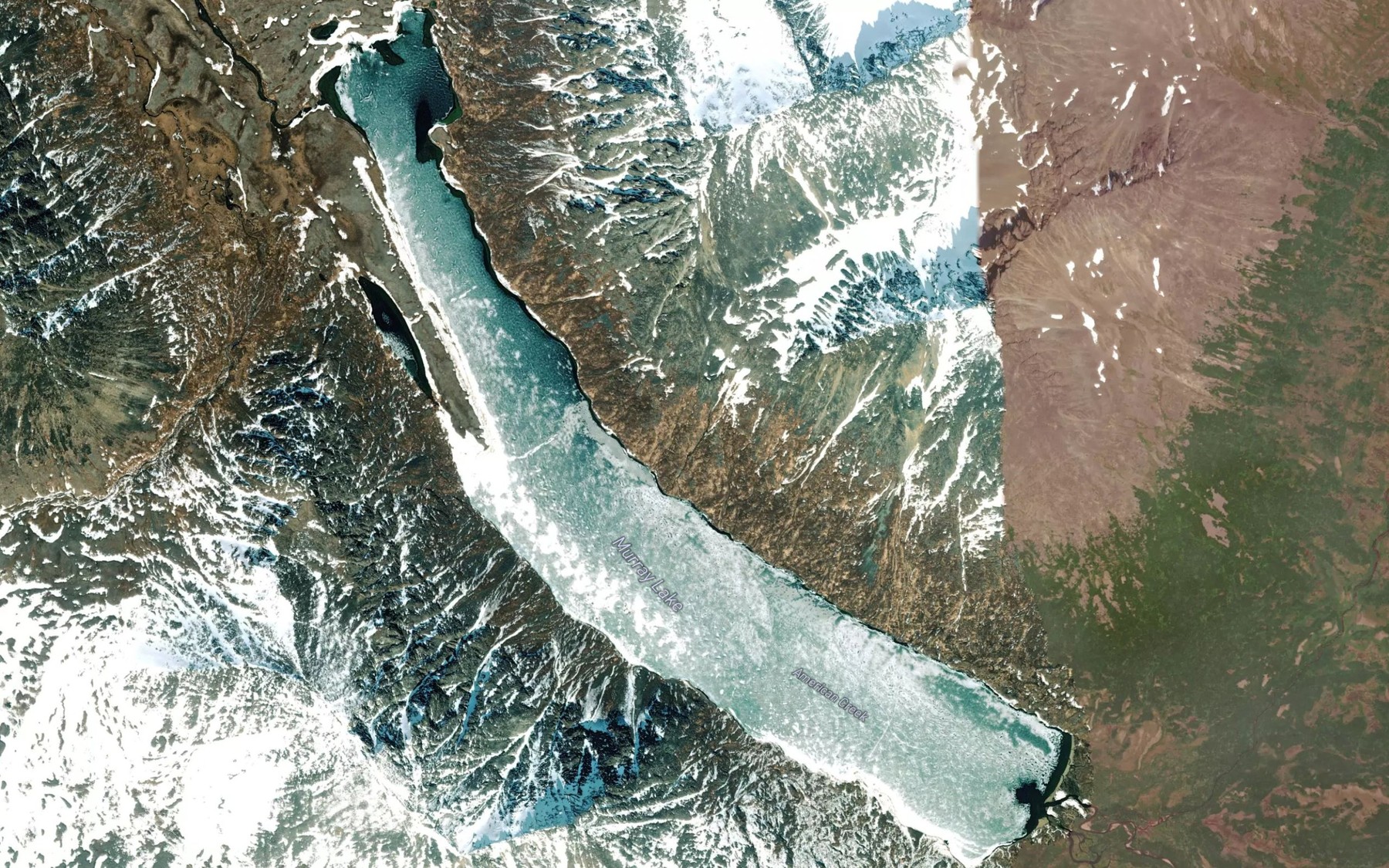 Satellite map of the Murray Lake