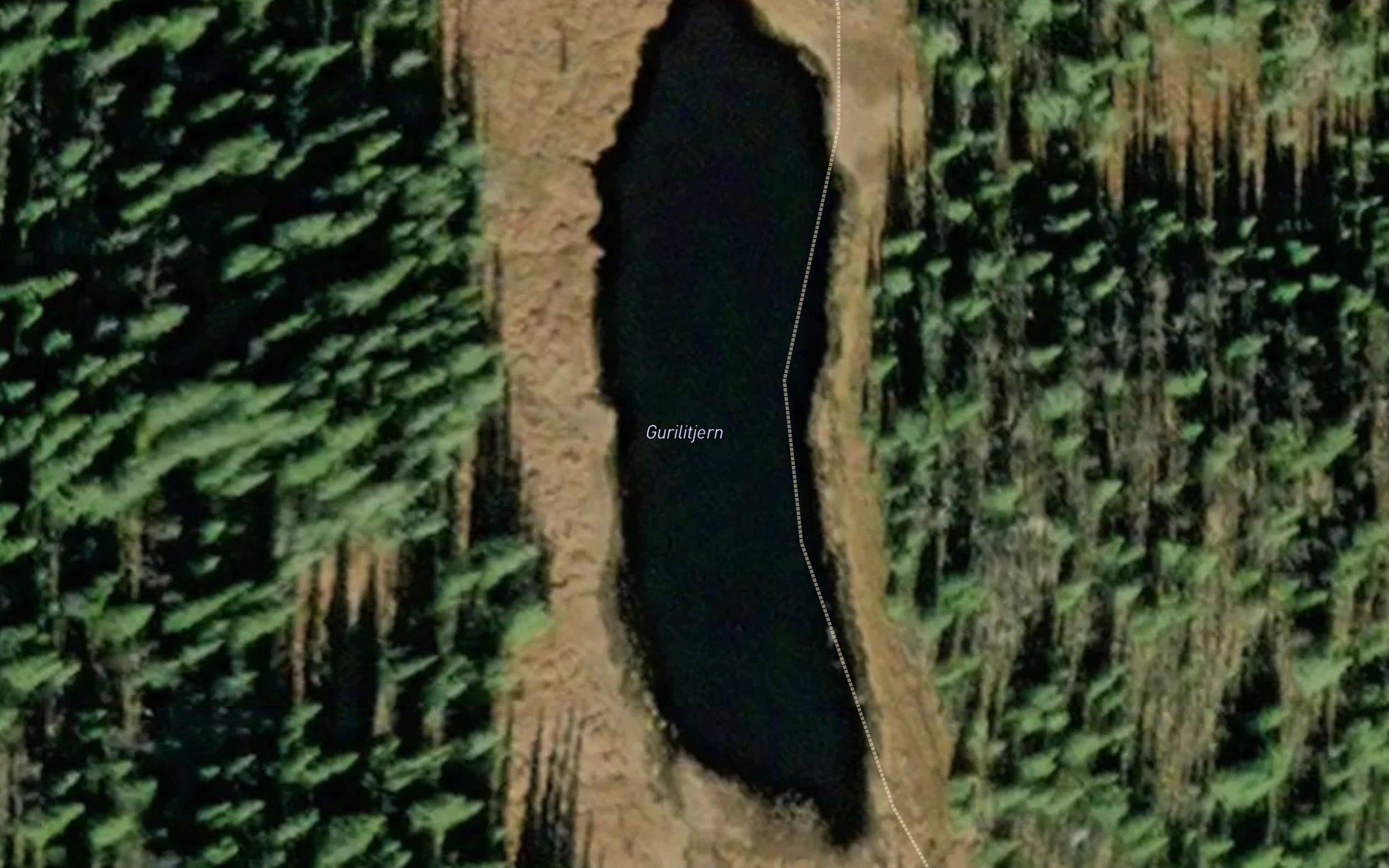 Gurilitjernet