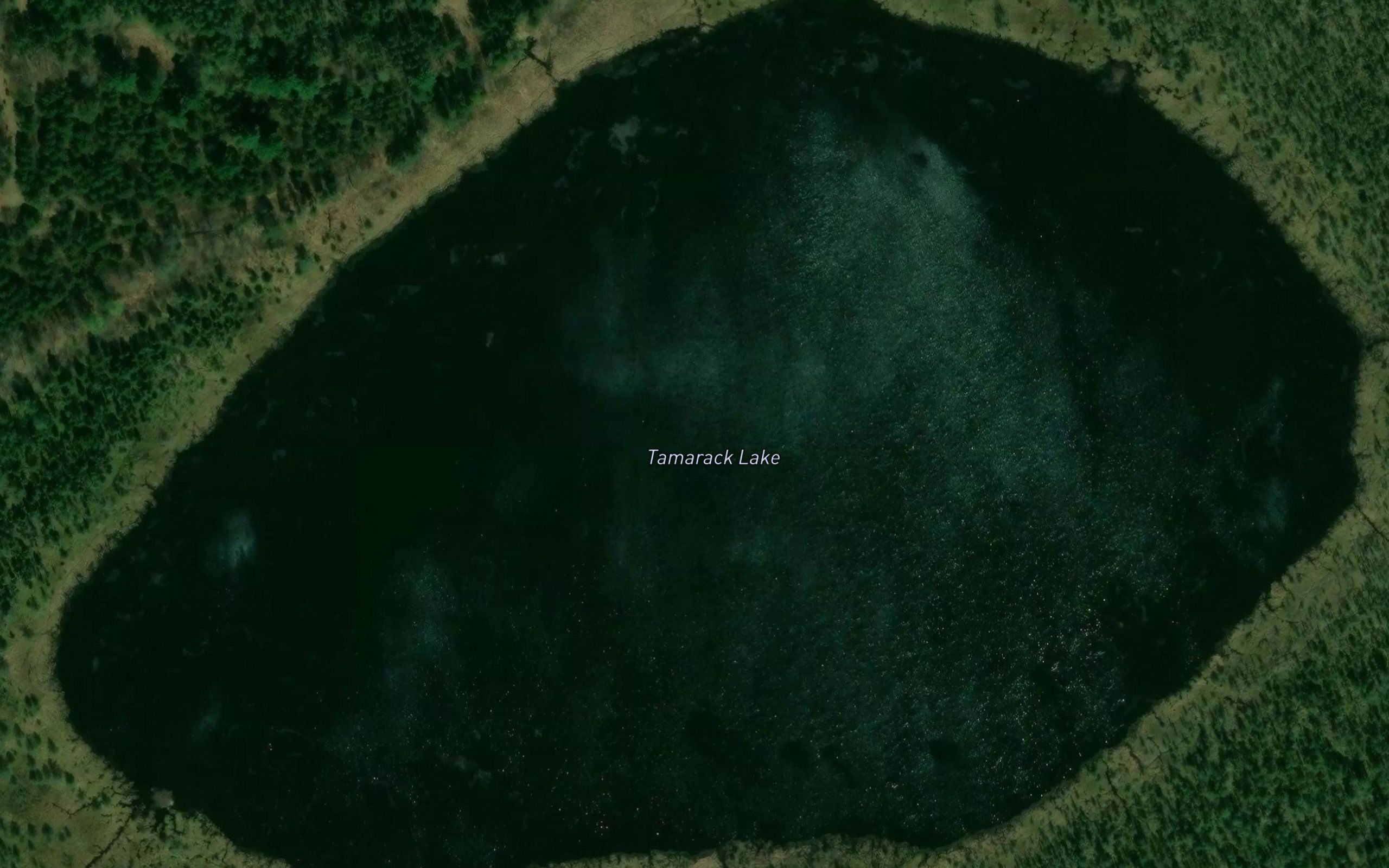 Tamarack Lake