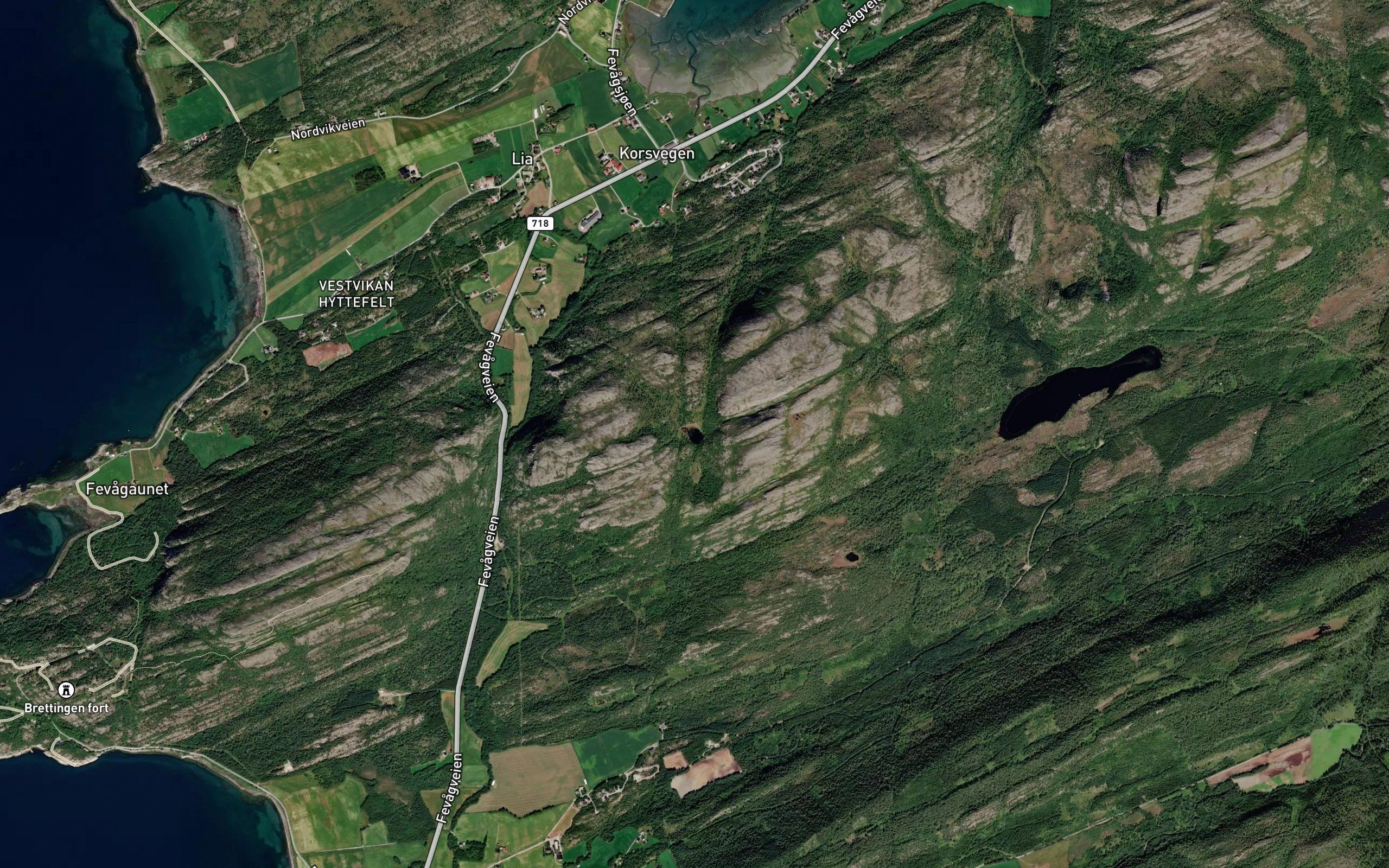 Breiskardtjonna