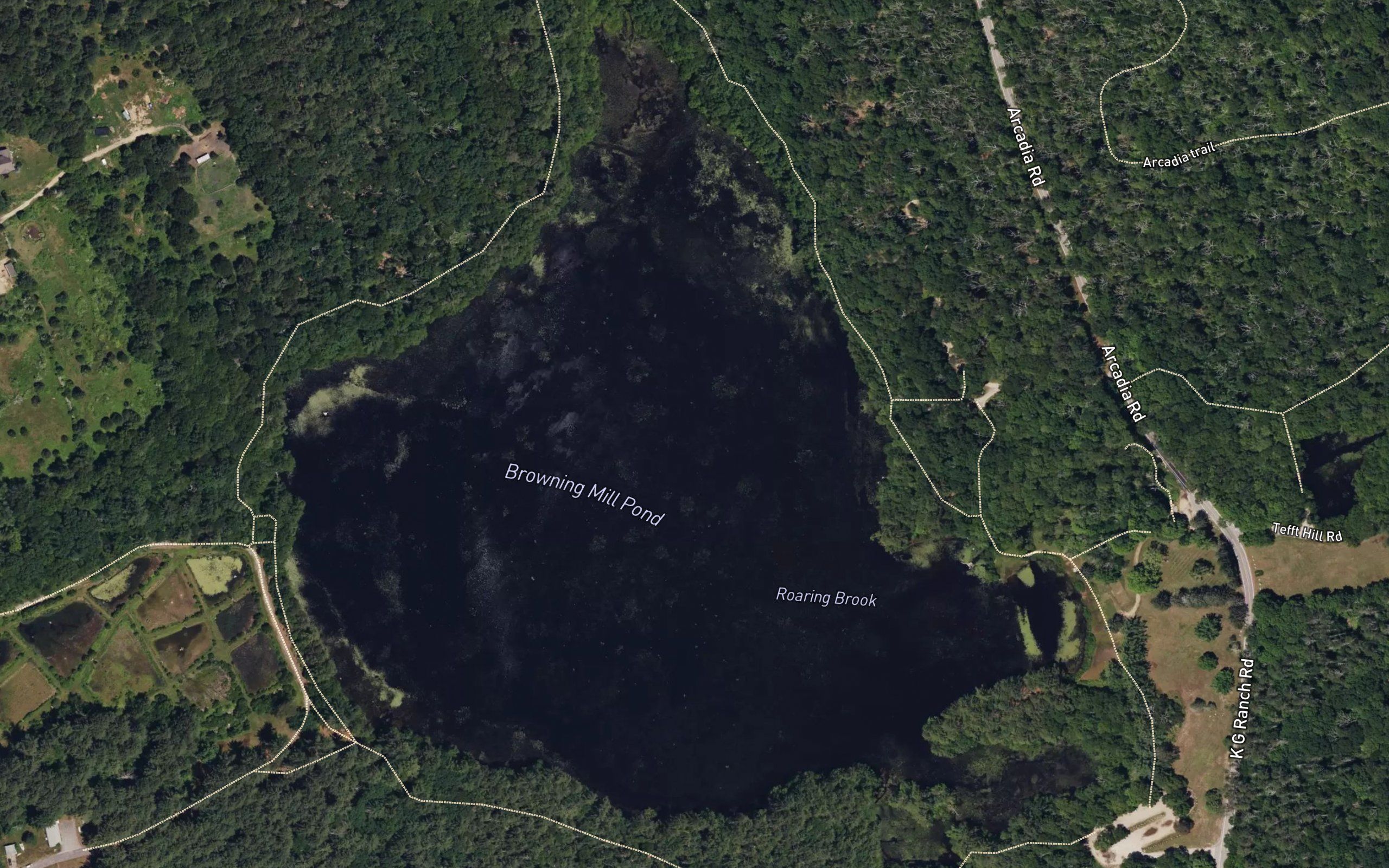 Browning Mill Pond
