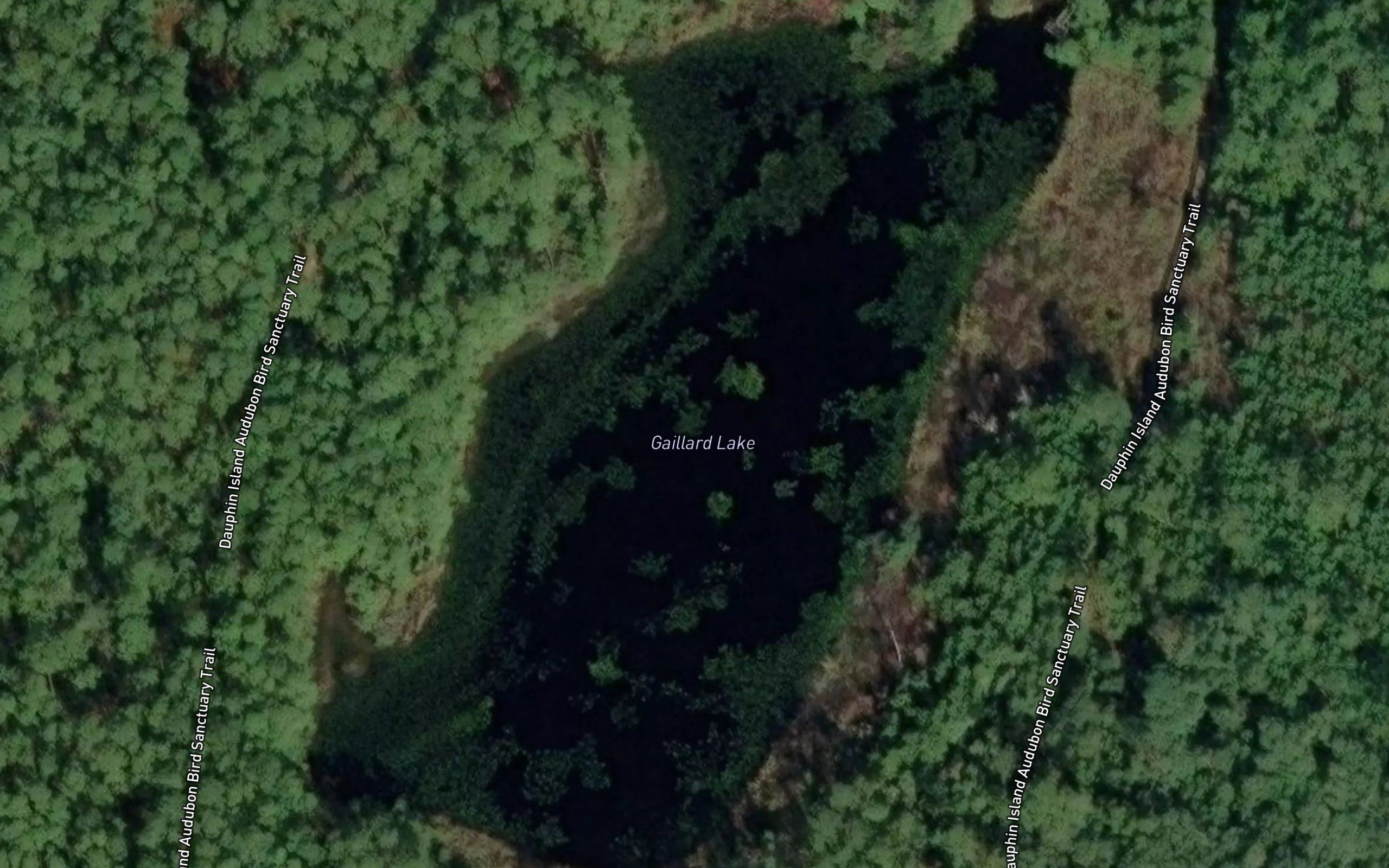 Alligator Lake