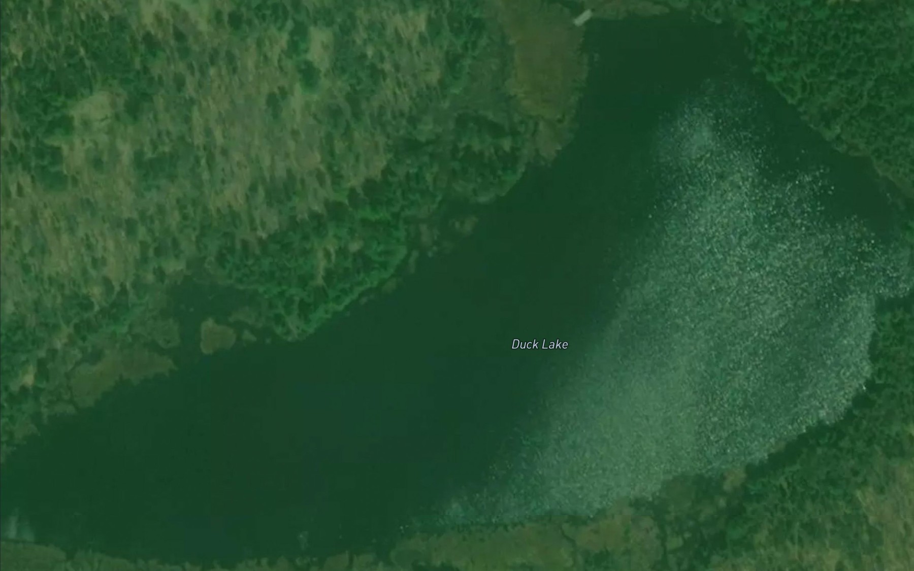 Satellite map of the Duck Lake