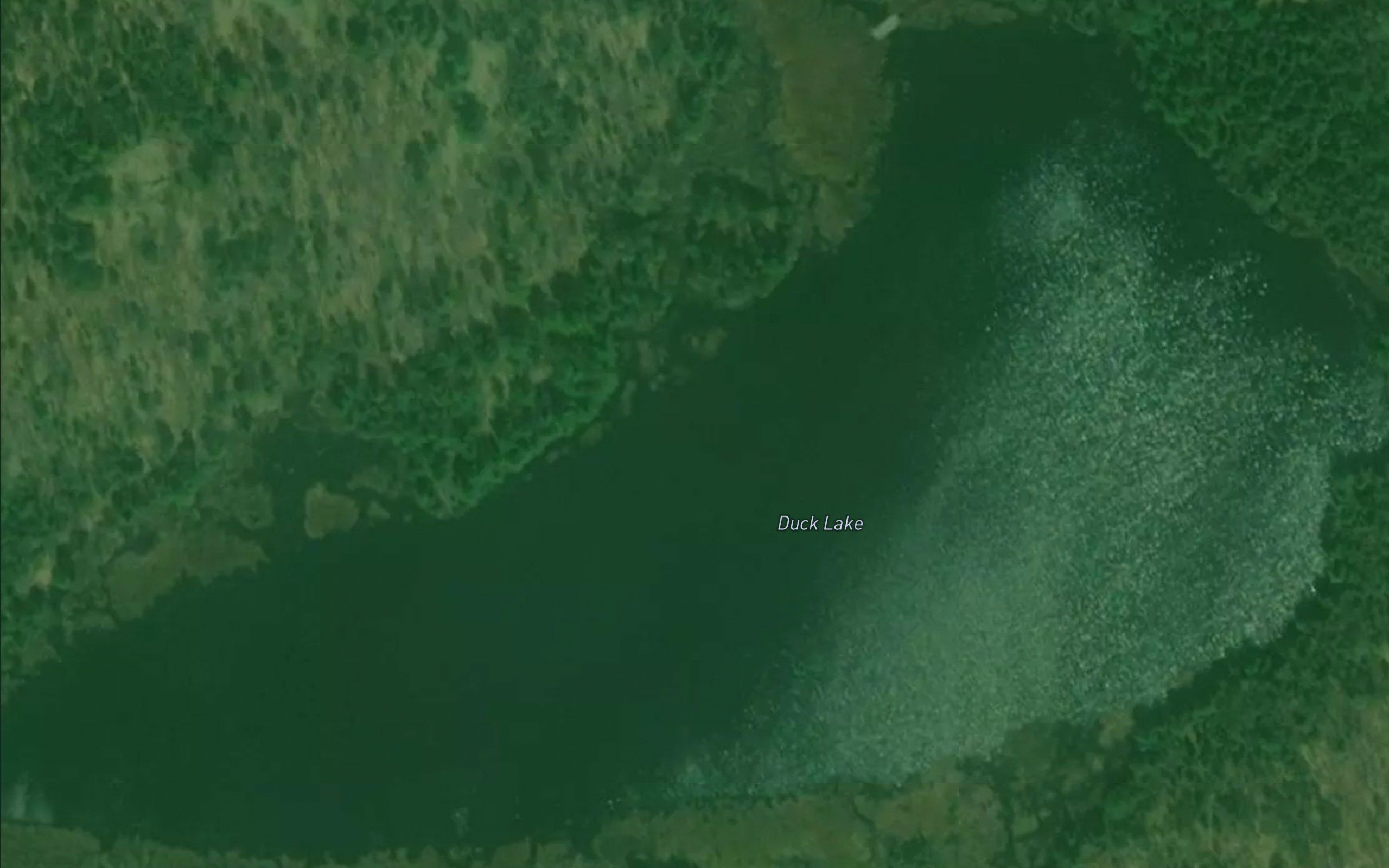 Duck Lake