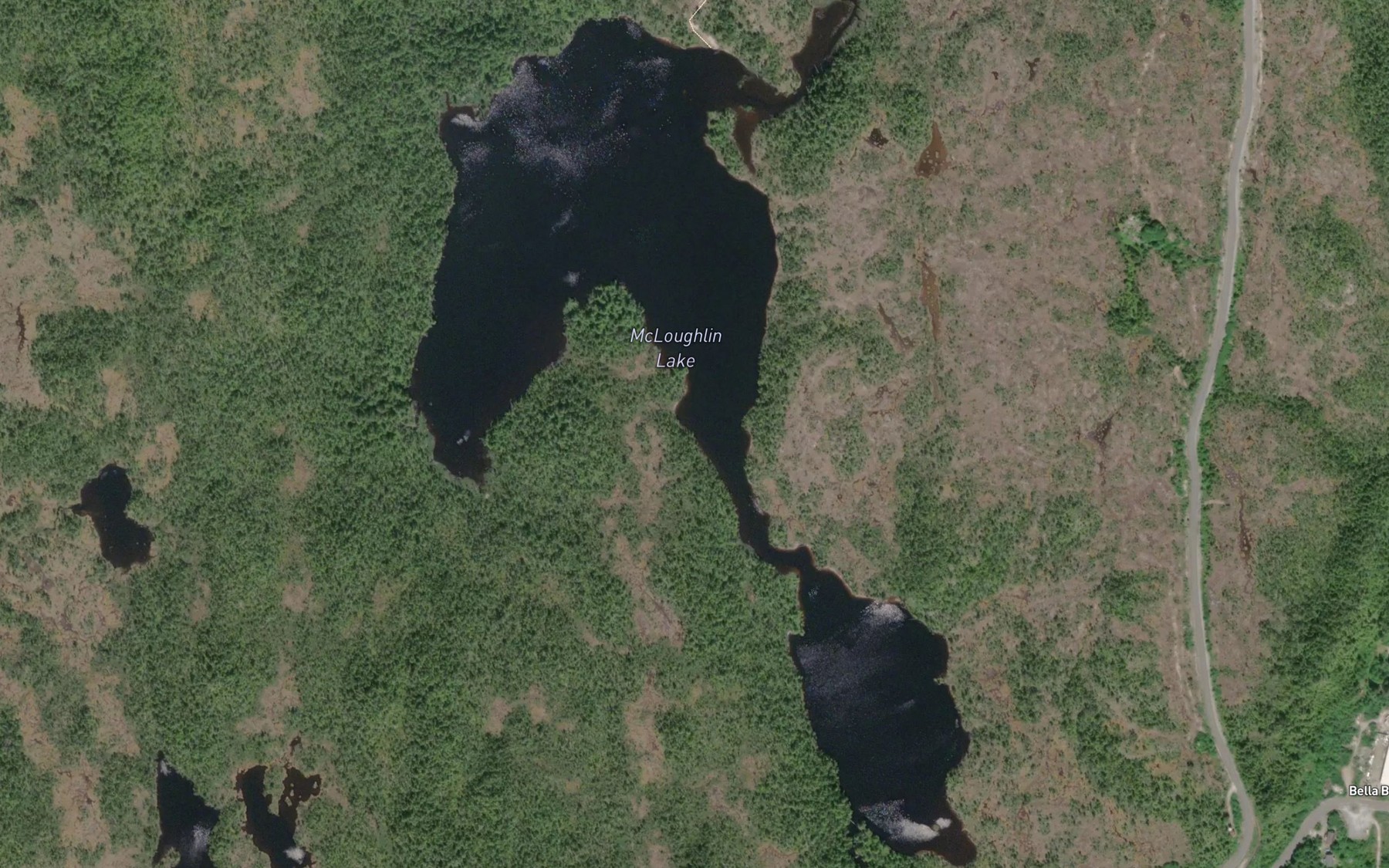 Satellite map of the McLoughlin Lake