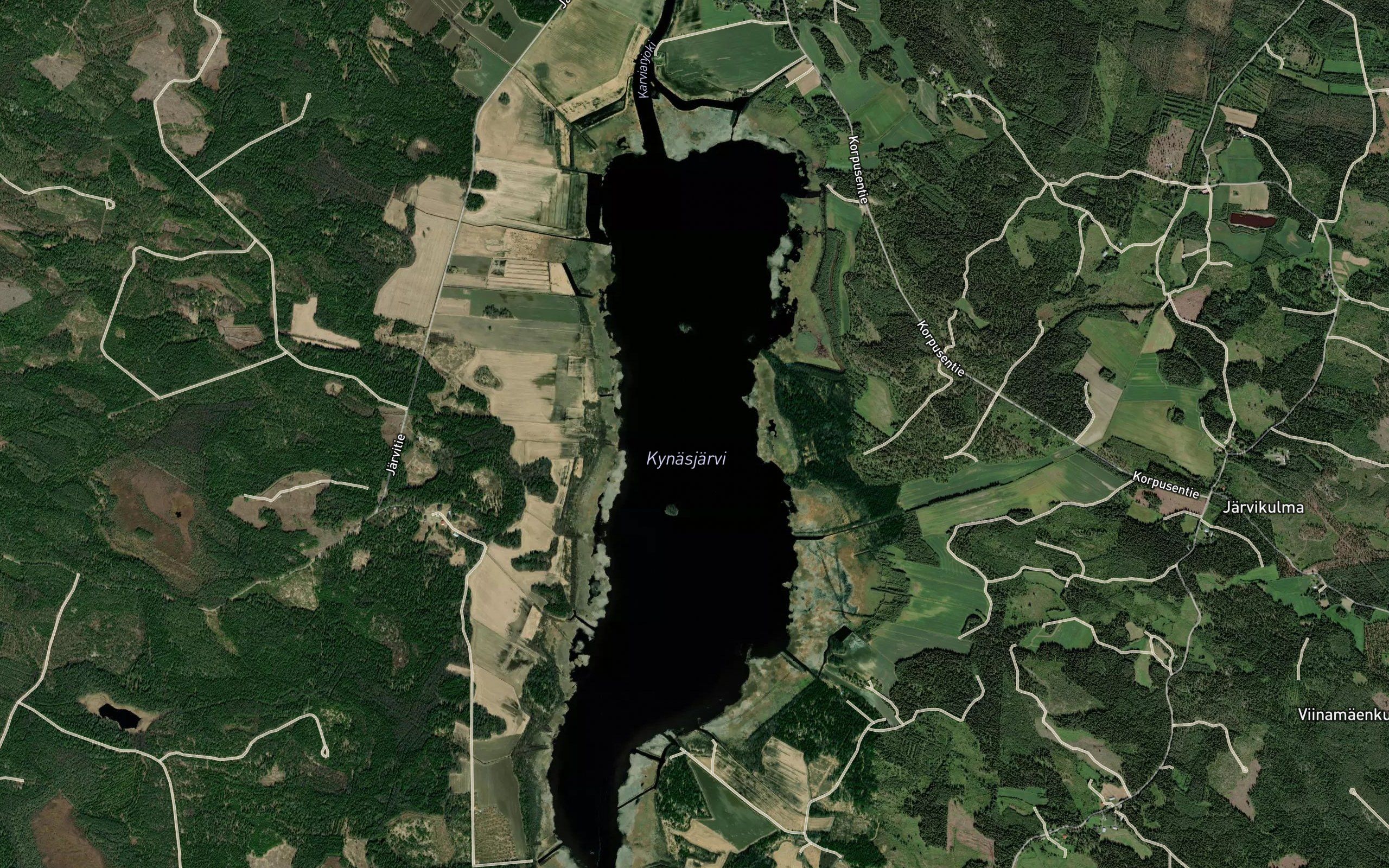 Kynasjarvi