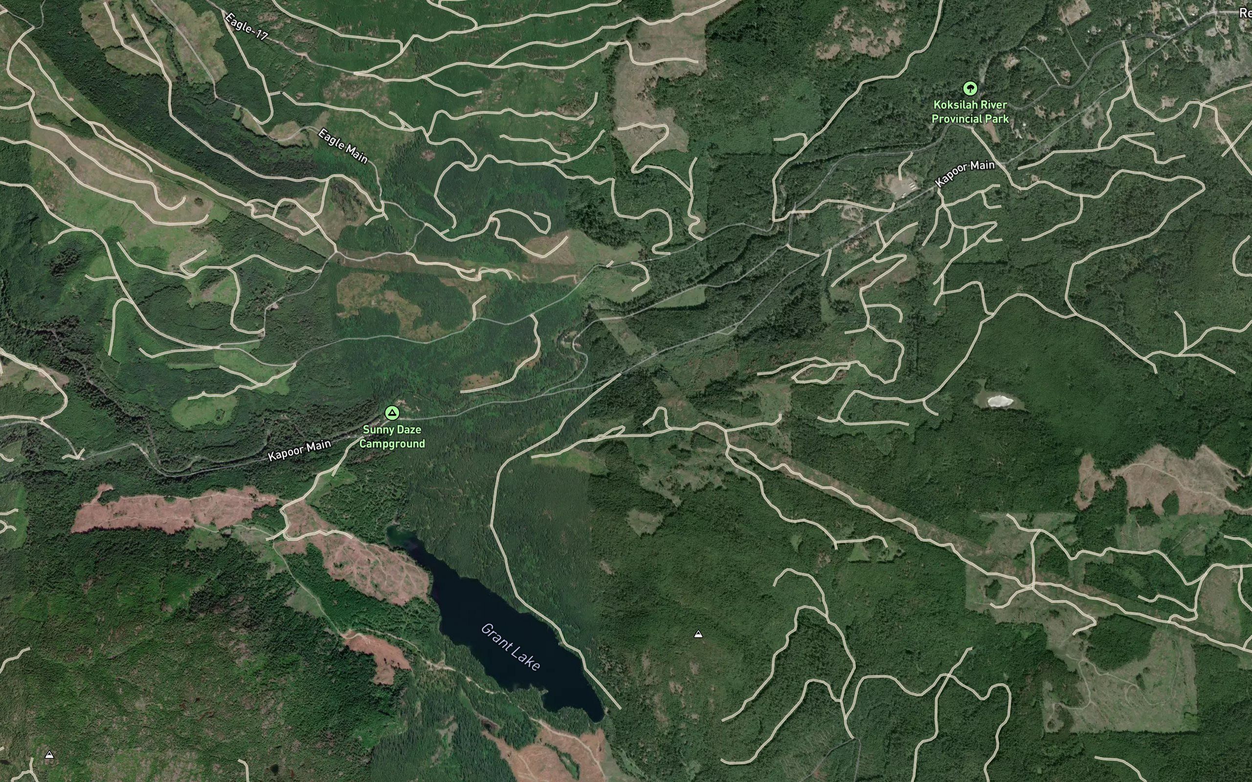 Wild Deer Creek