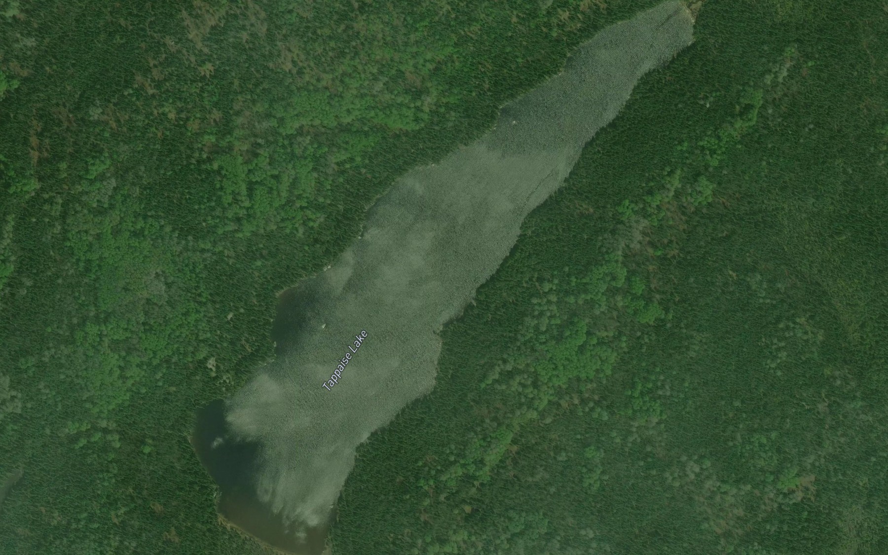 Satellite map of the Tappaise Lake