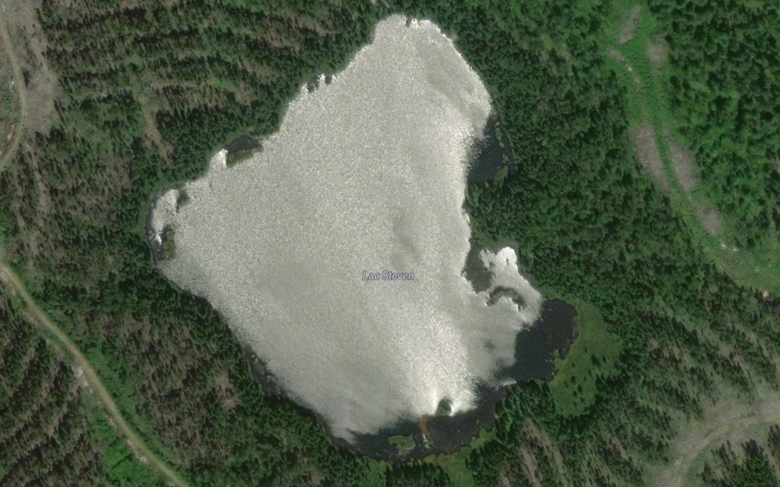 Lac Steven