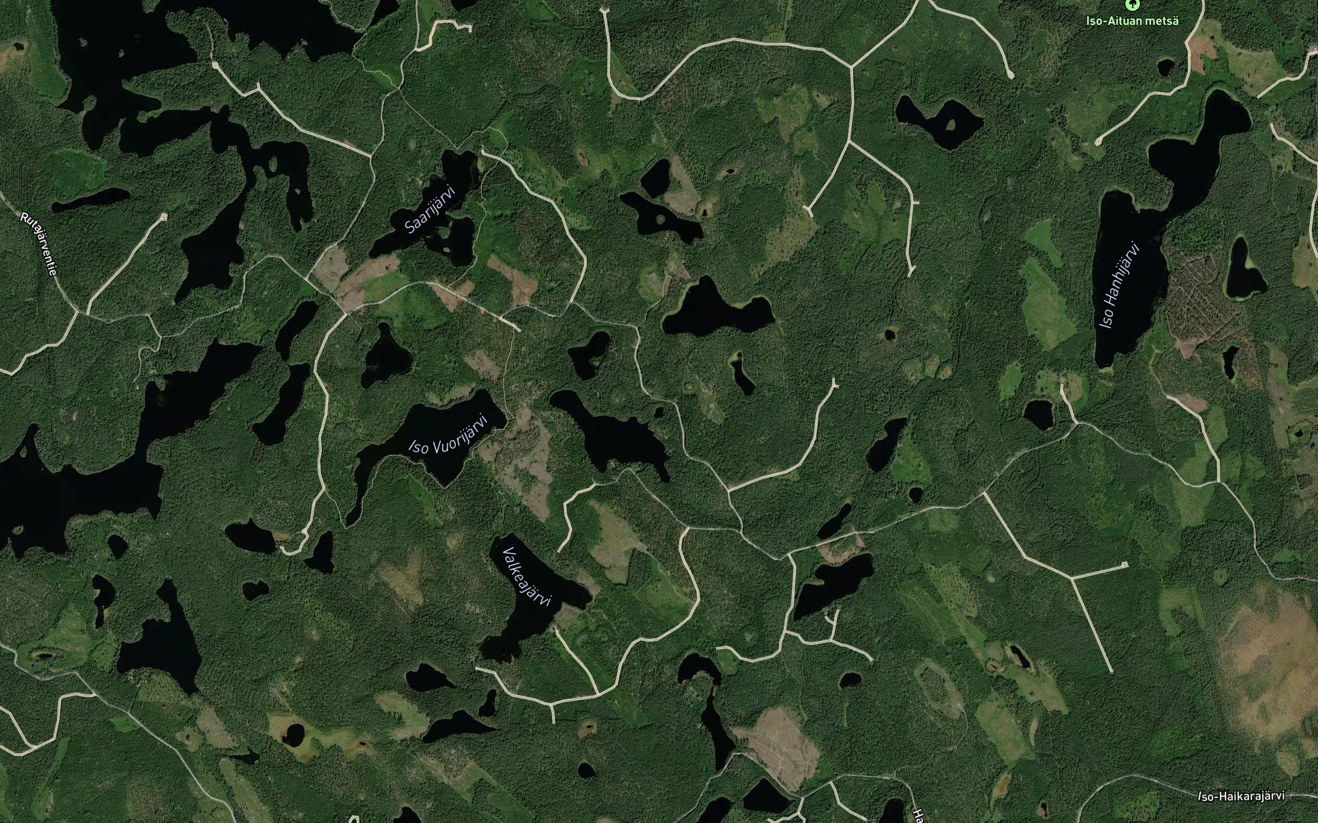 Vuorijarvenlakkari