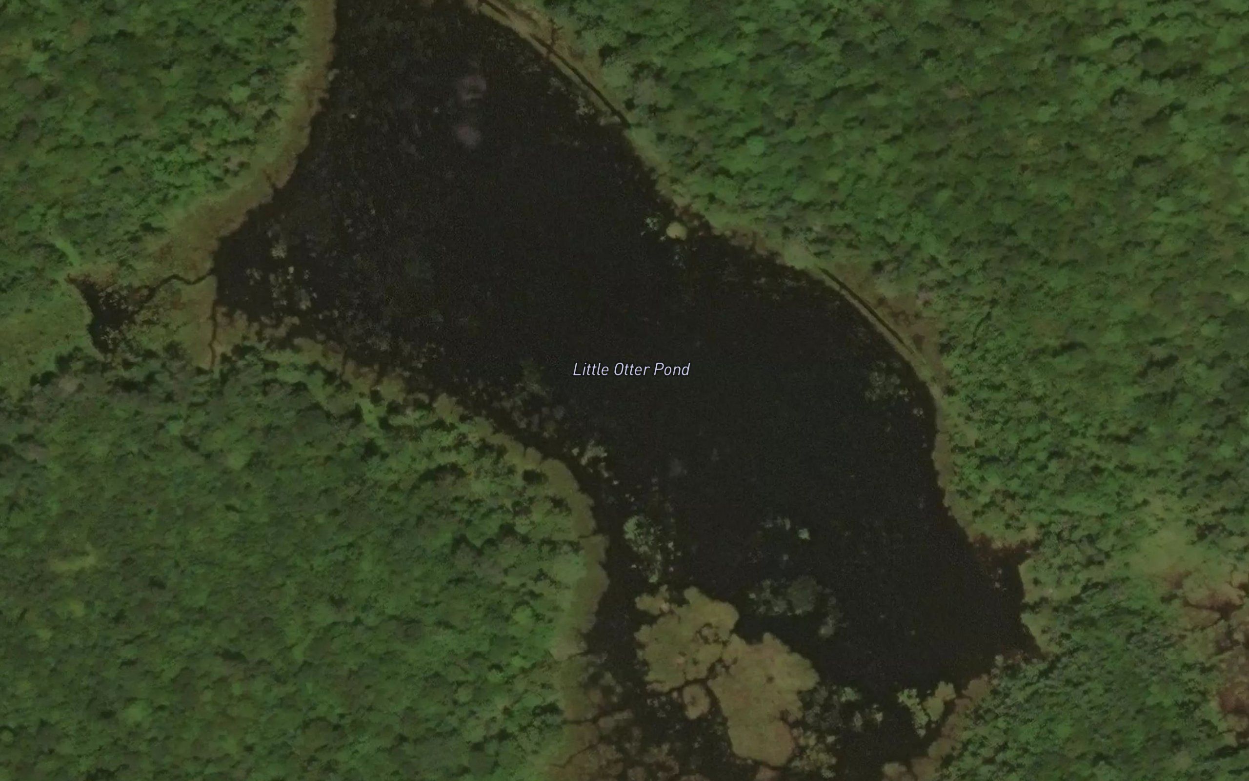 Little Otter Pond
