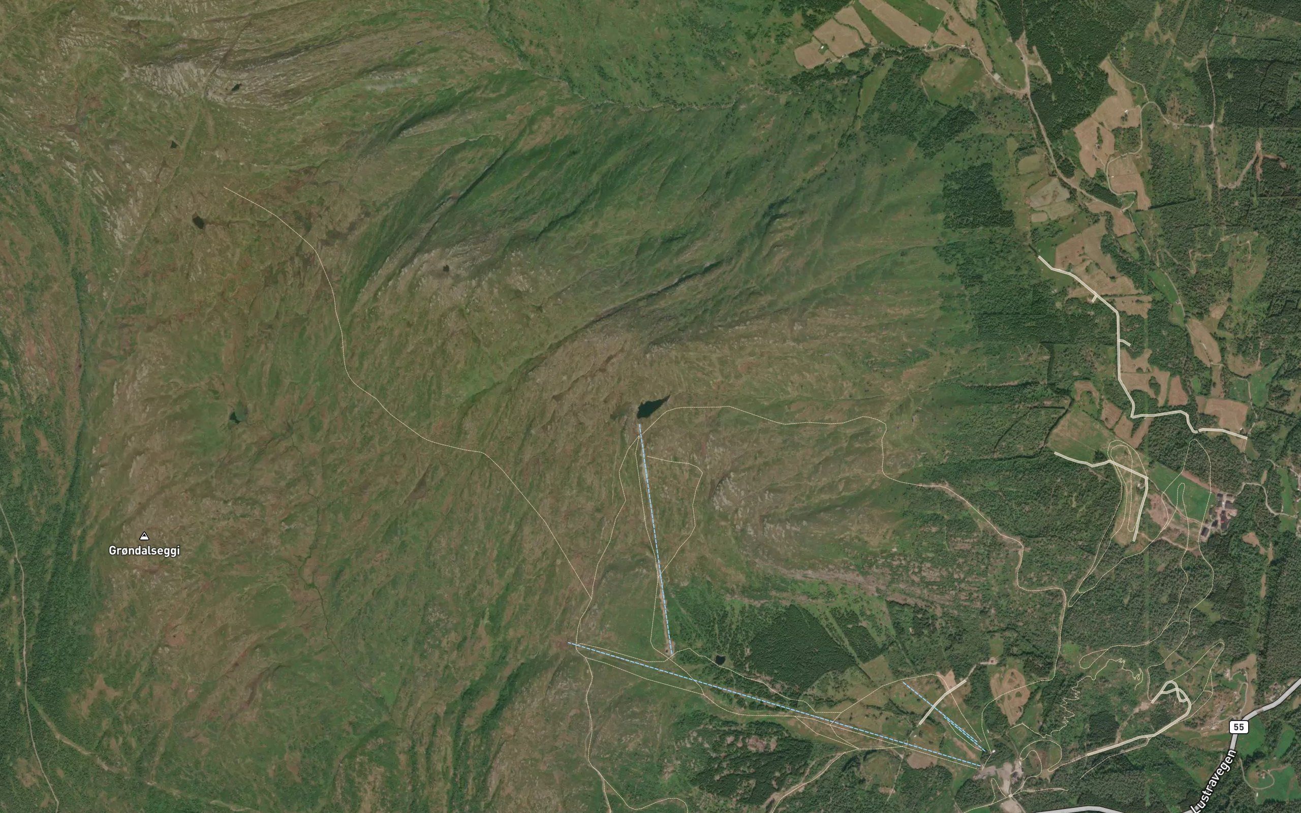 Fjellstolstjorni