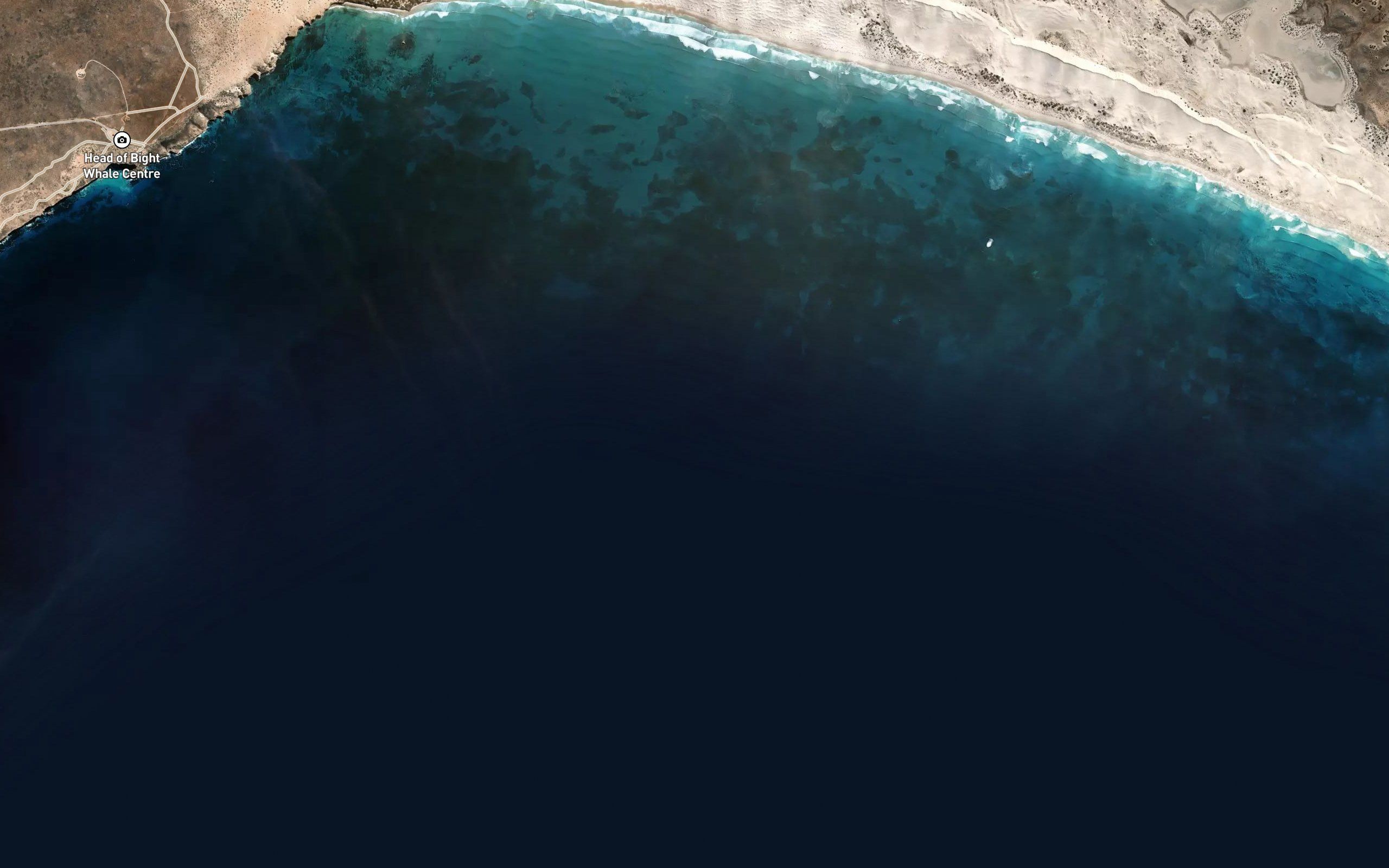 Head of Great Australian Bight