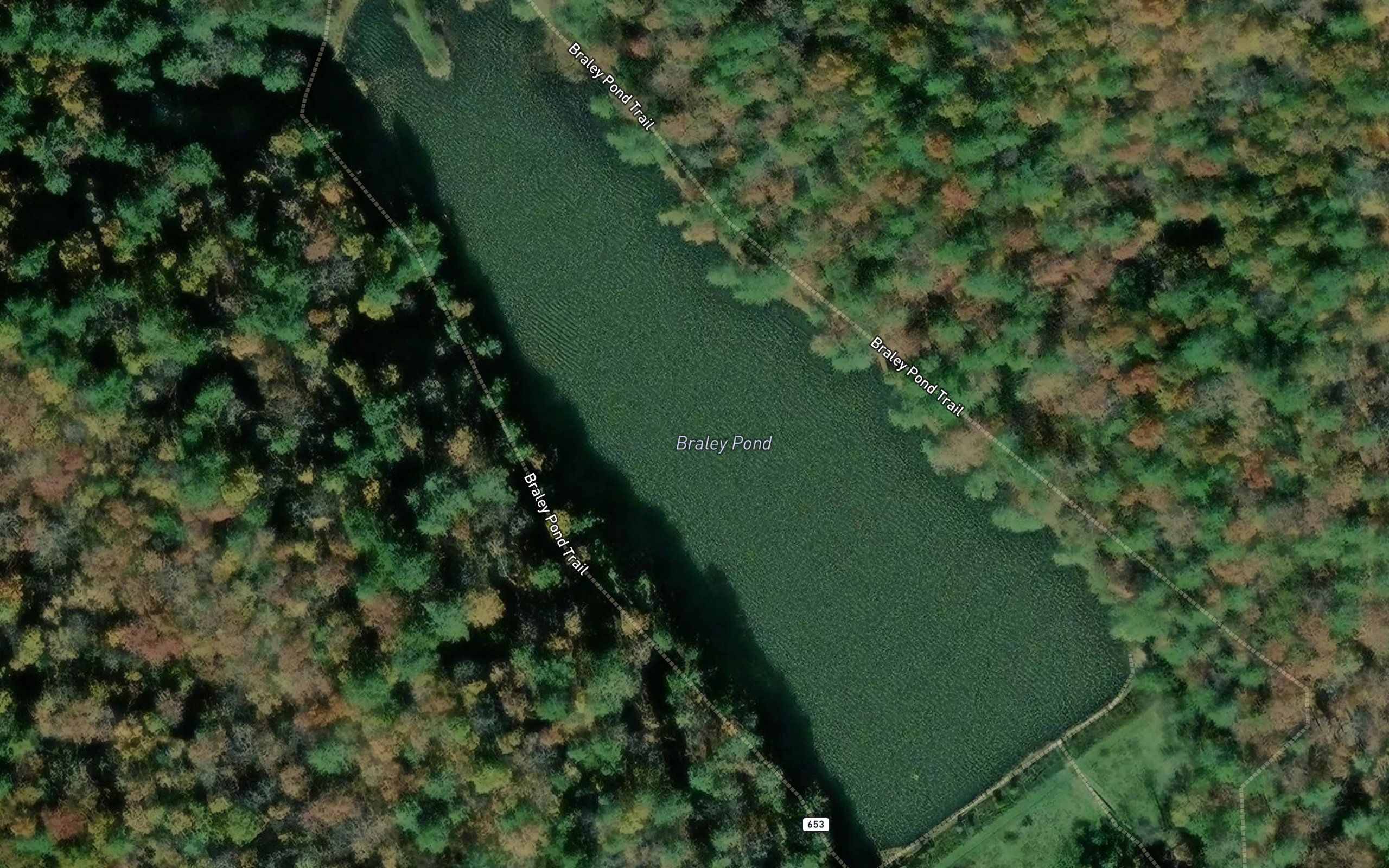 Braley Pond