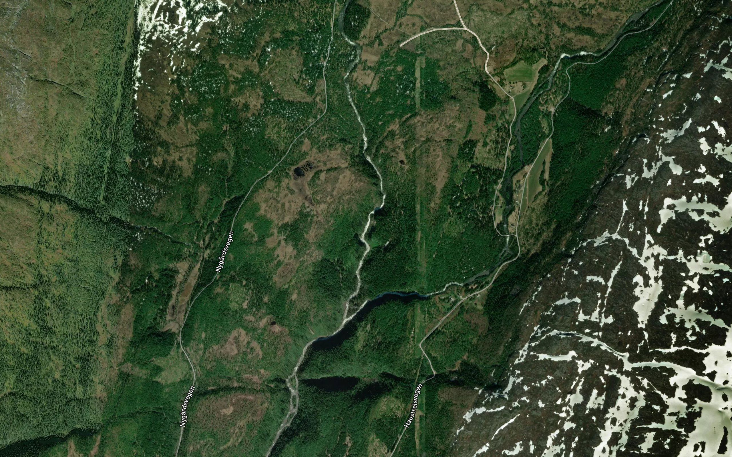 Rauforsen