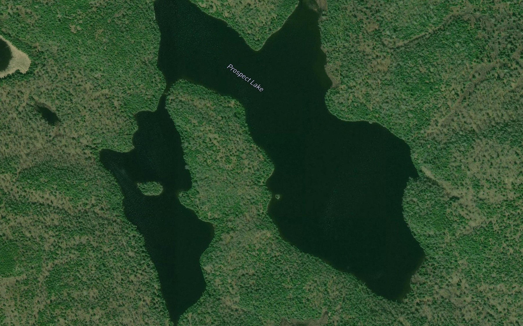 Satellite map of the Prospect Lake