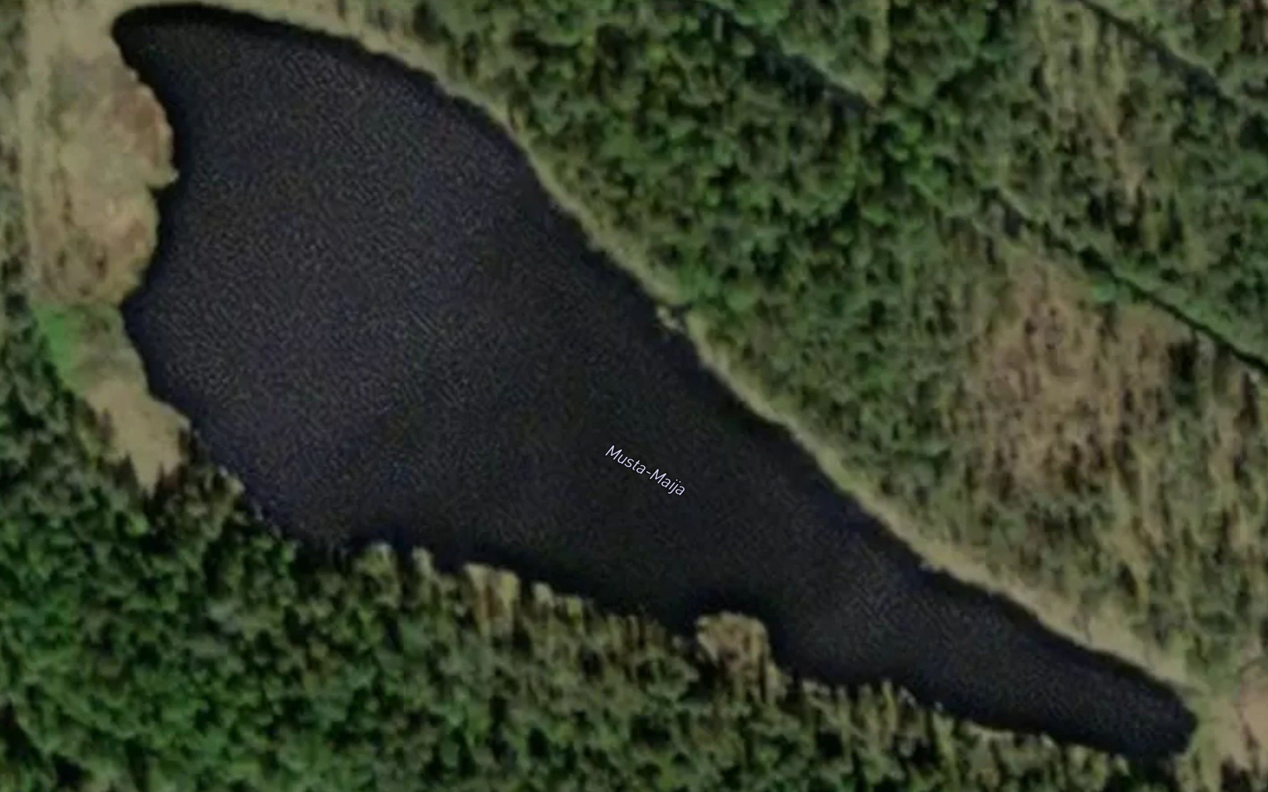 Musta-Maija