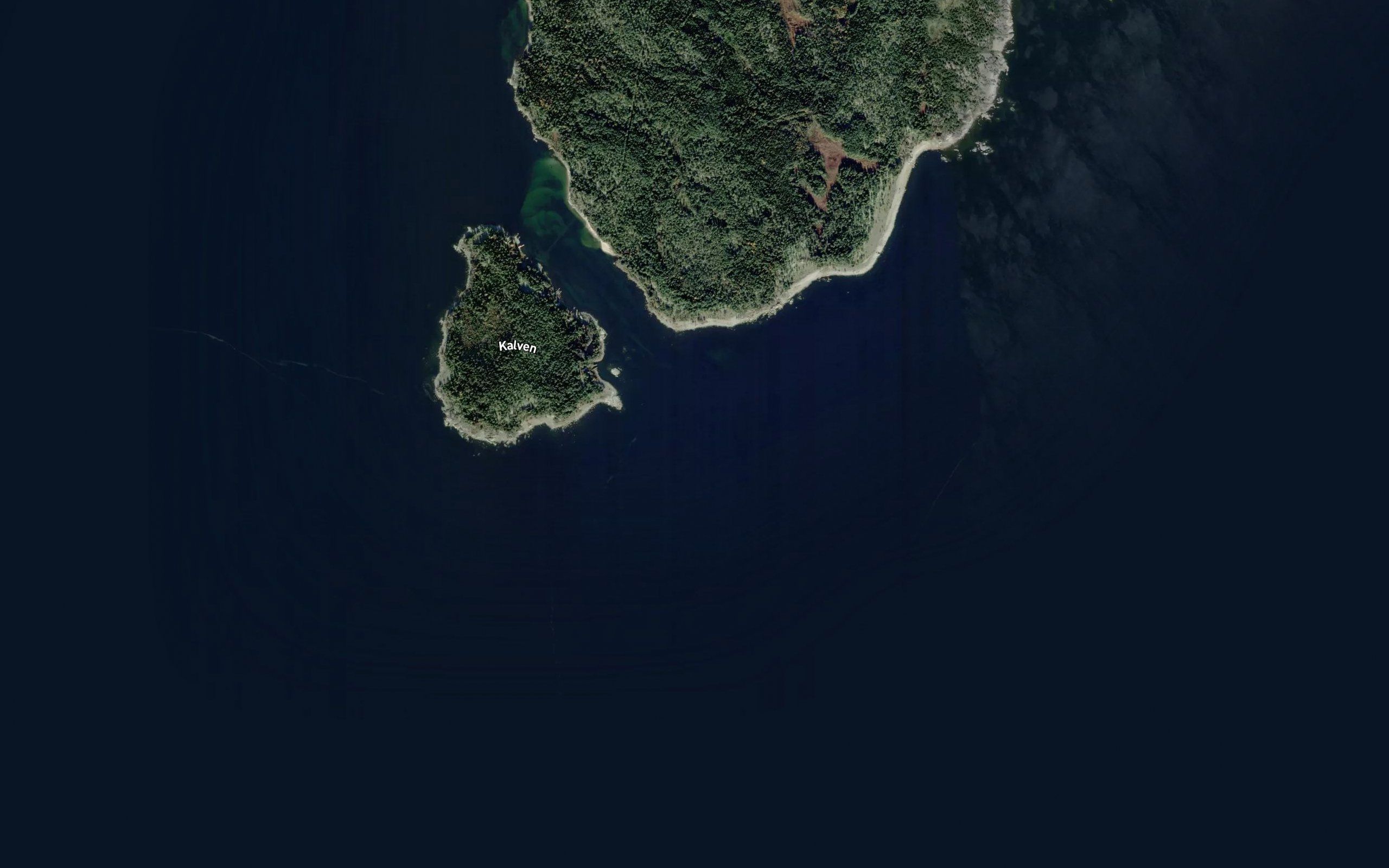 Kalvrevet