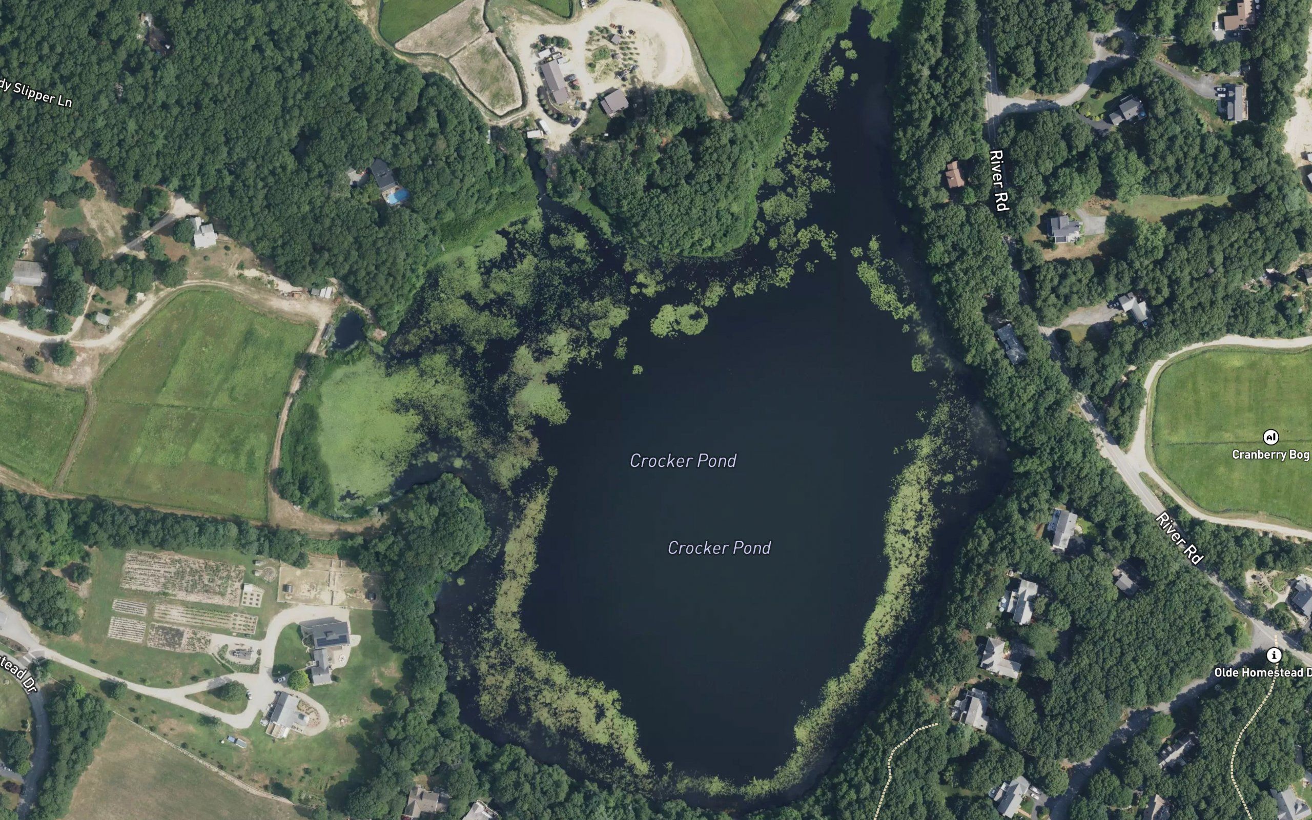 Muddy Pond