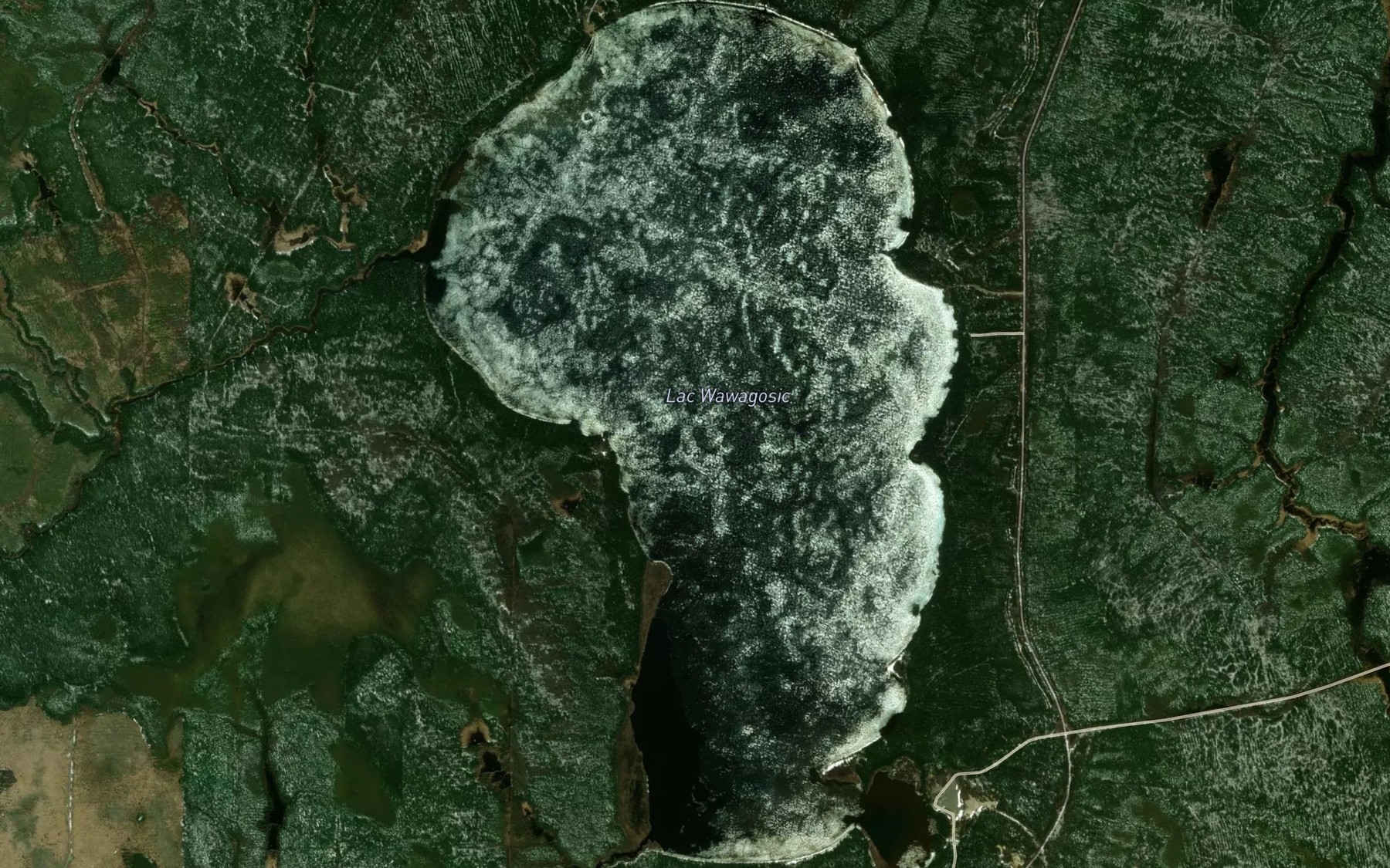 Satellite map of the Lac Wawagosic