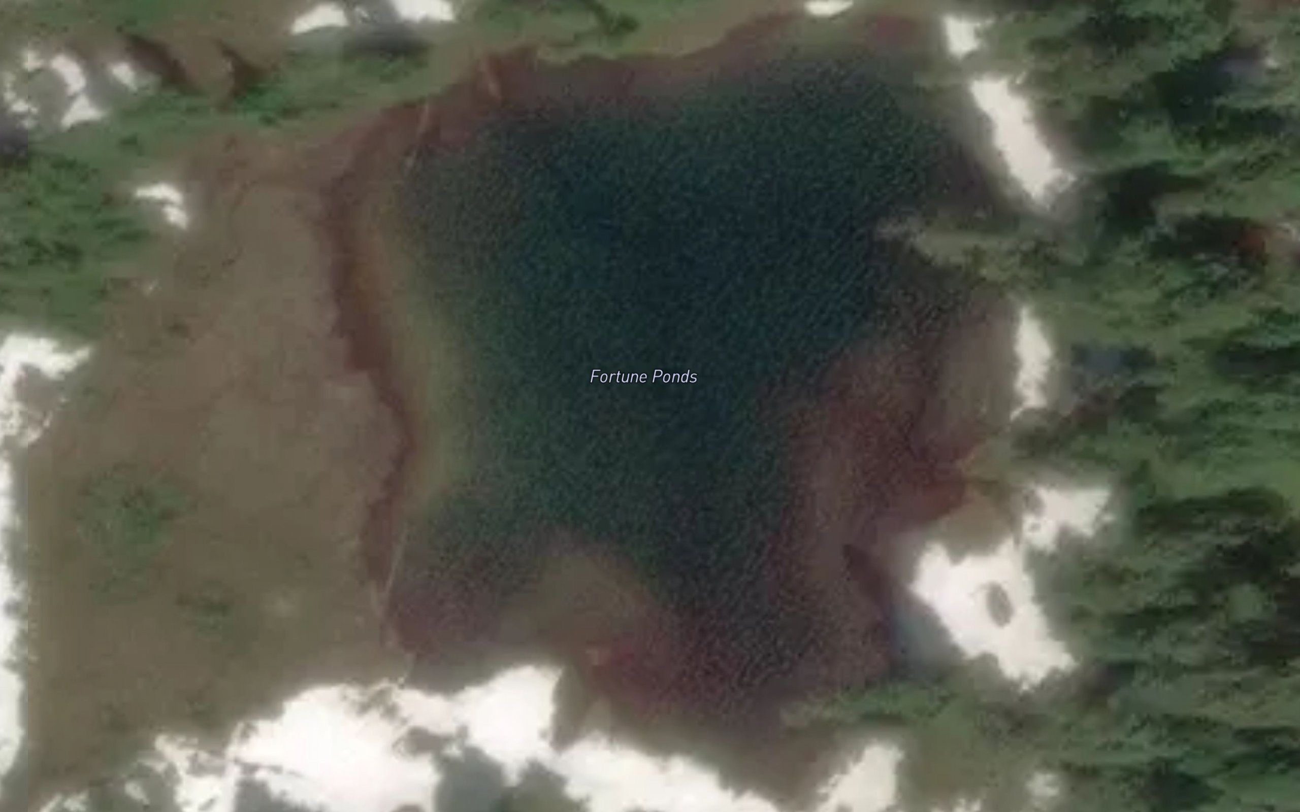 Fortune Ponds