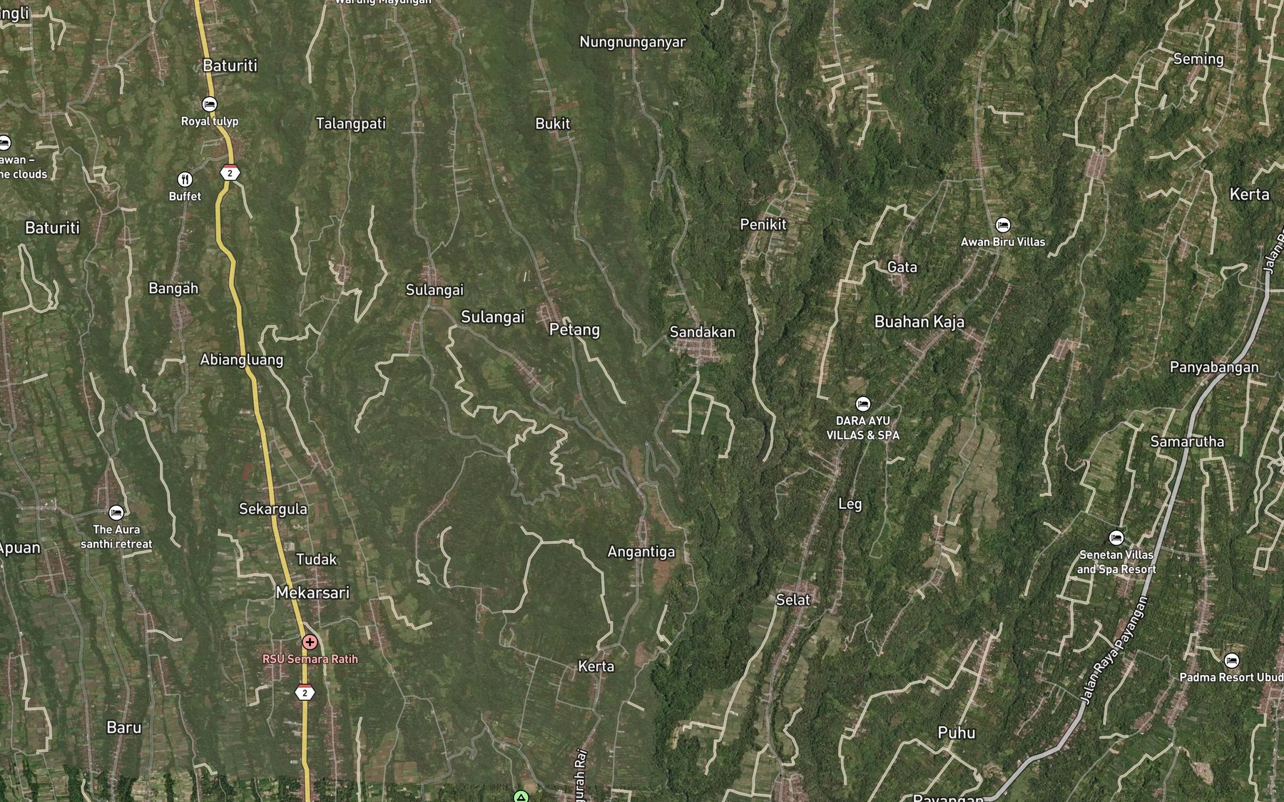 Satellite map of the Pangkung Anakan
