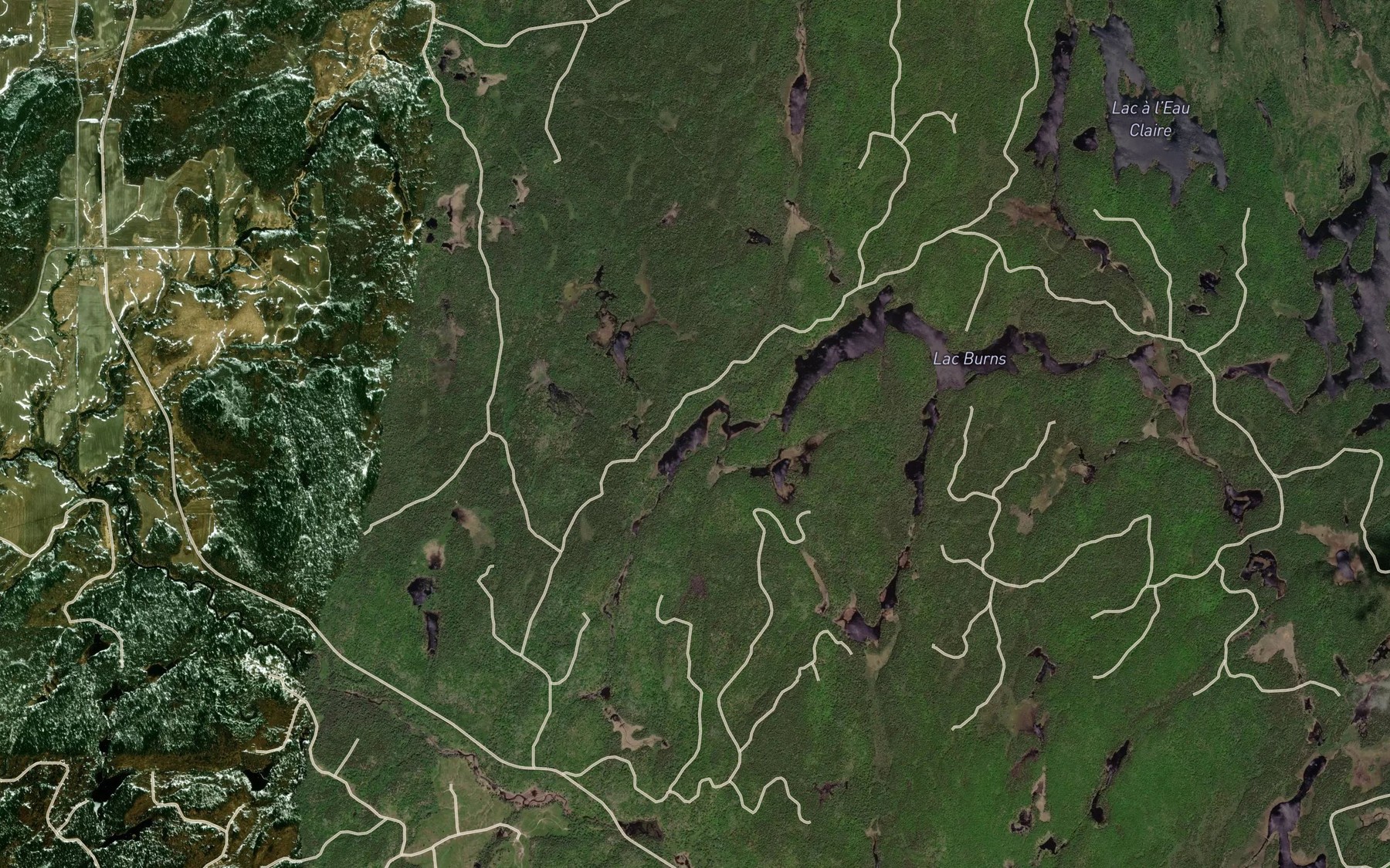 Satellite map of the Lac de la Dame