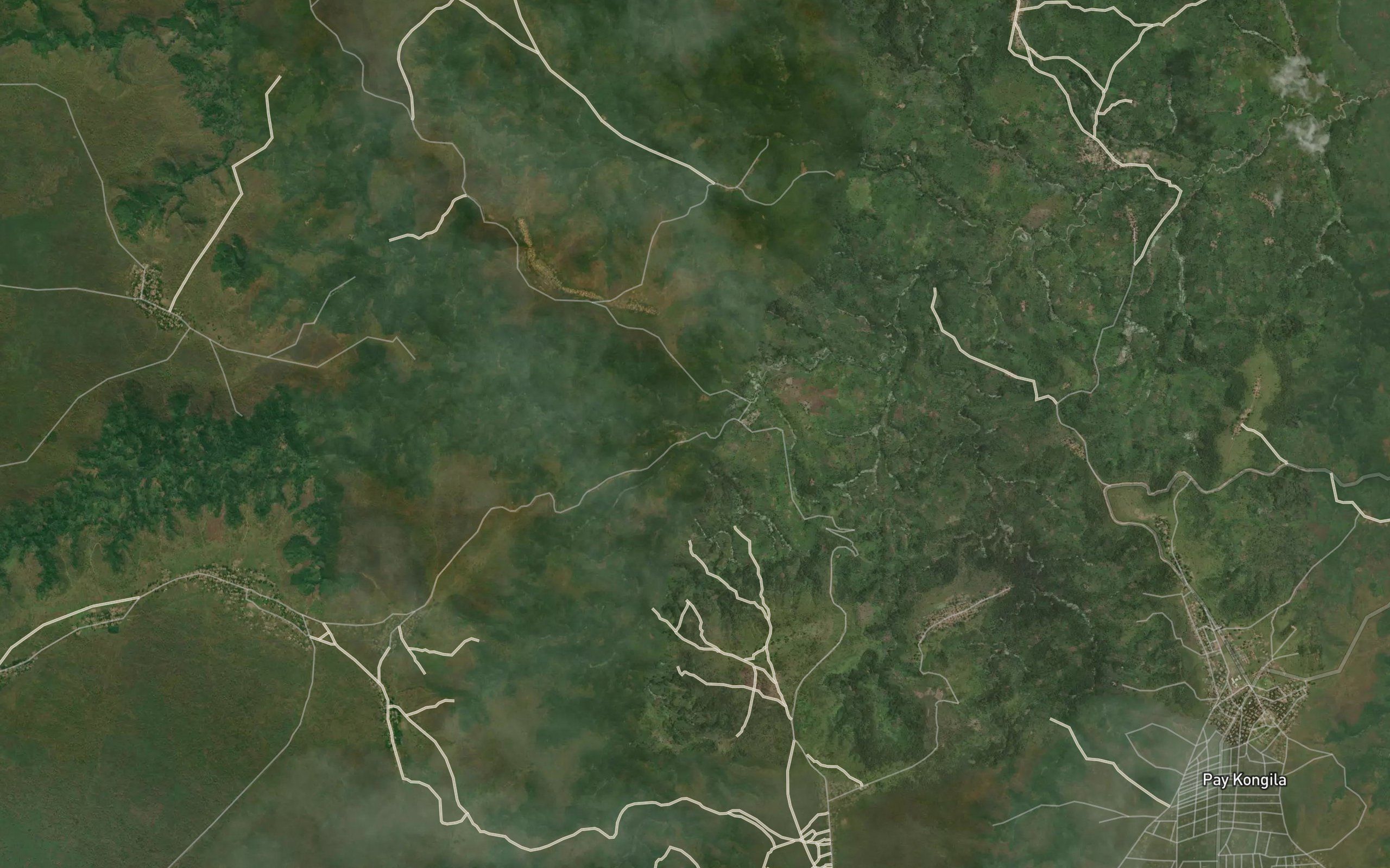 Kibolo