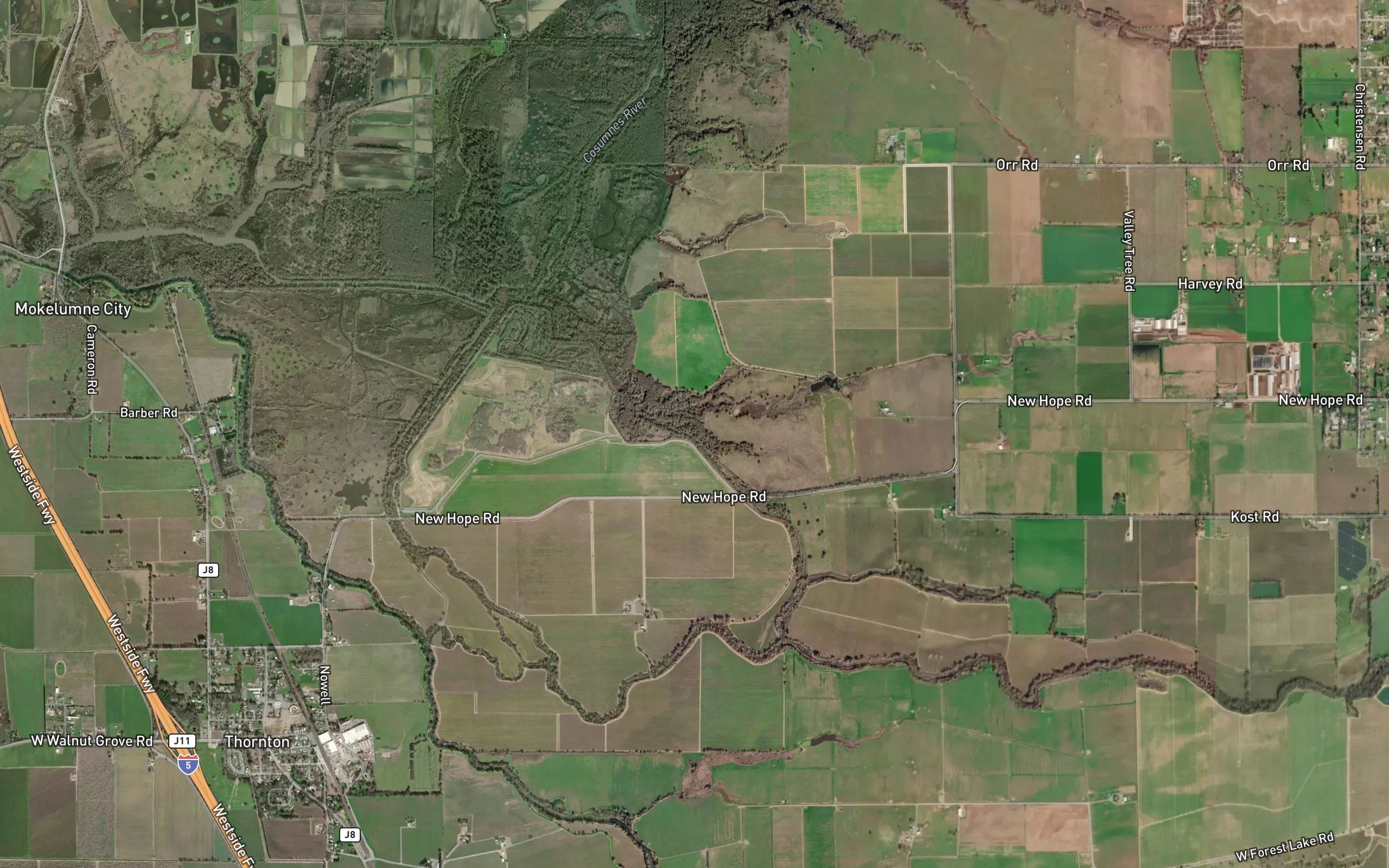 Bear Slough