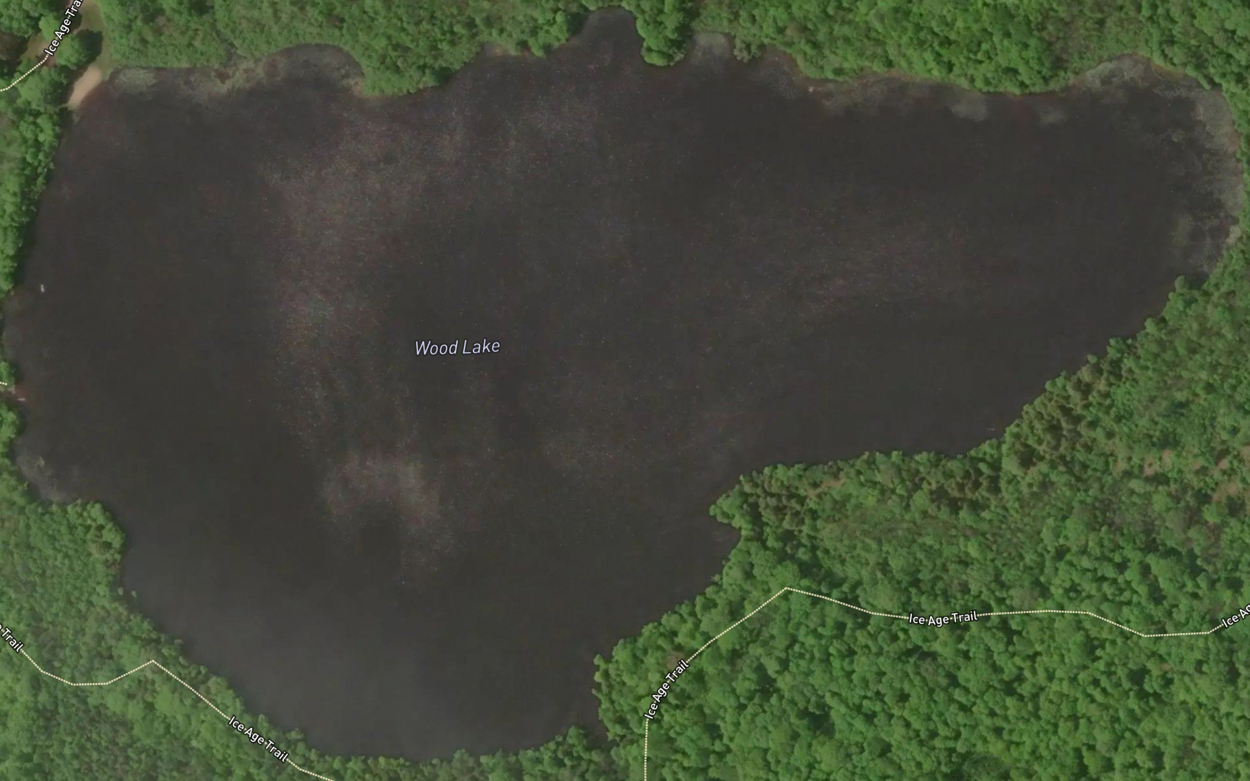 Wood Lake