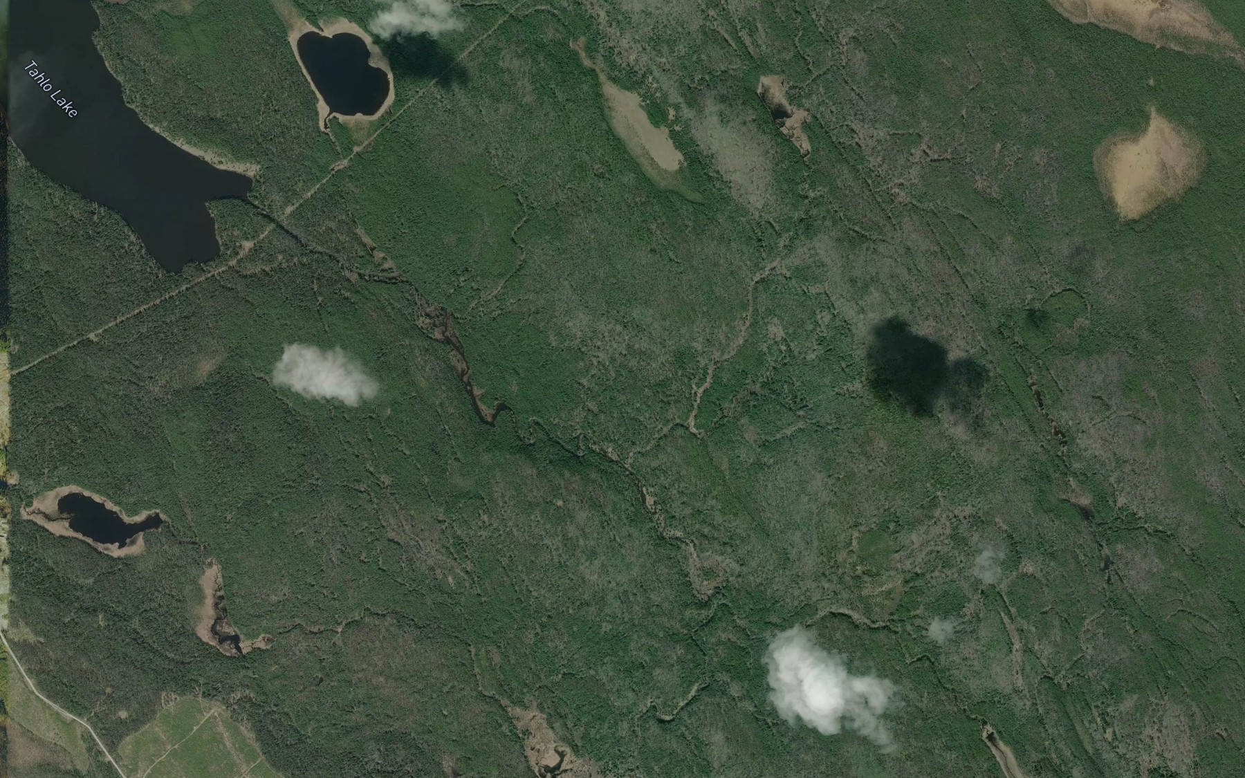 Satellite map of the Guitar Creek