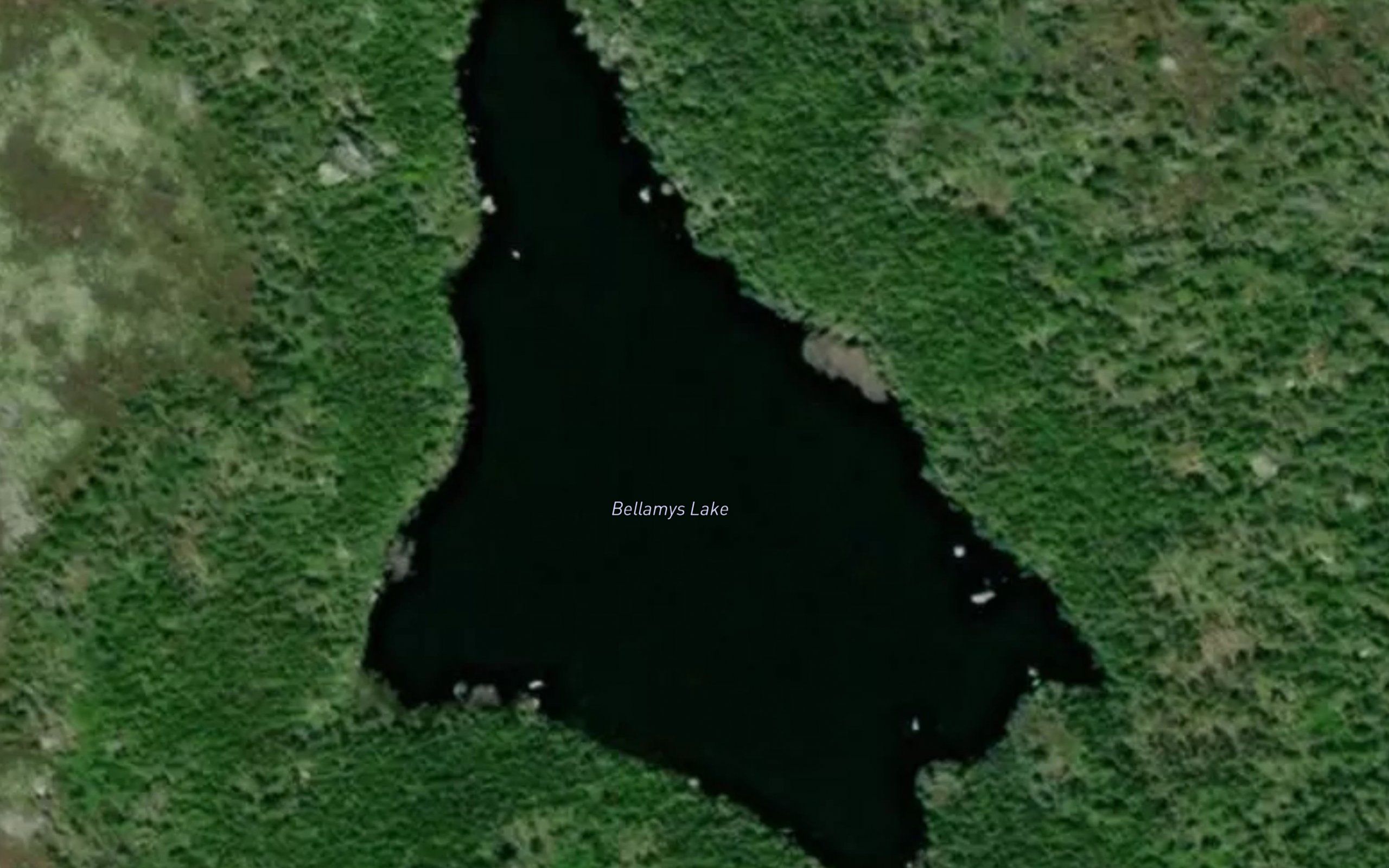 Bellamys Lake