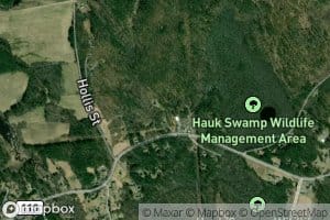 Hawk Pond