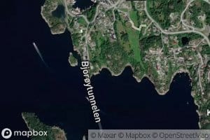 Magnevika