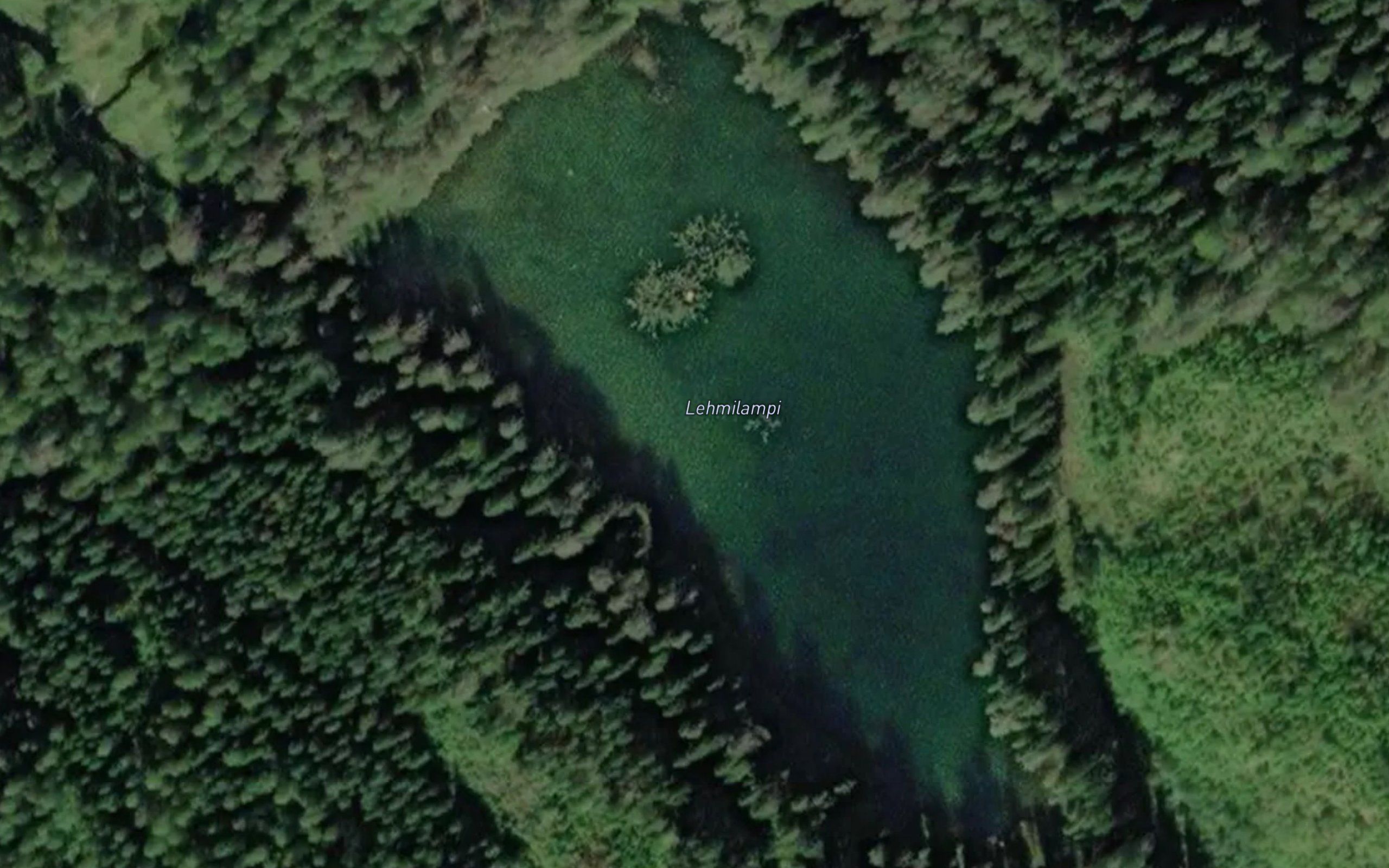 Lehmilampi