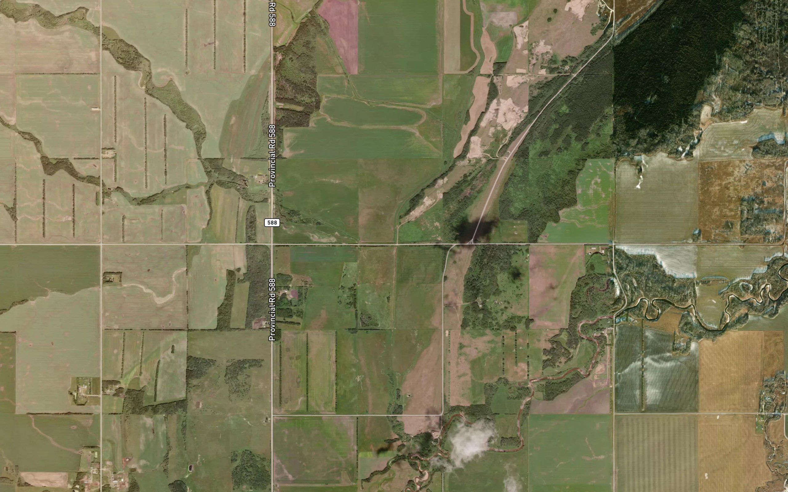 Trout Creek