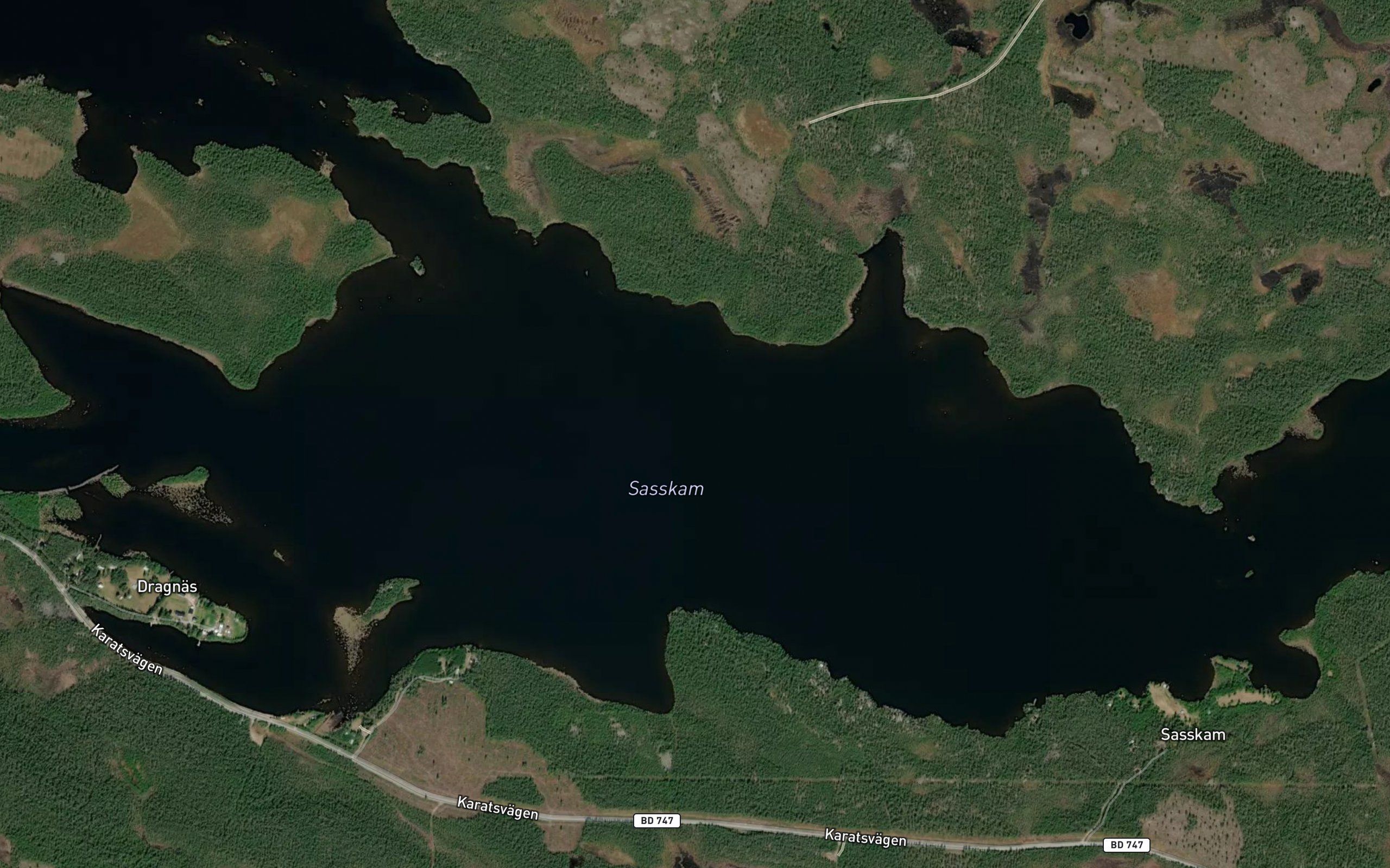 Sasskam