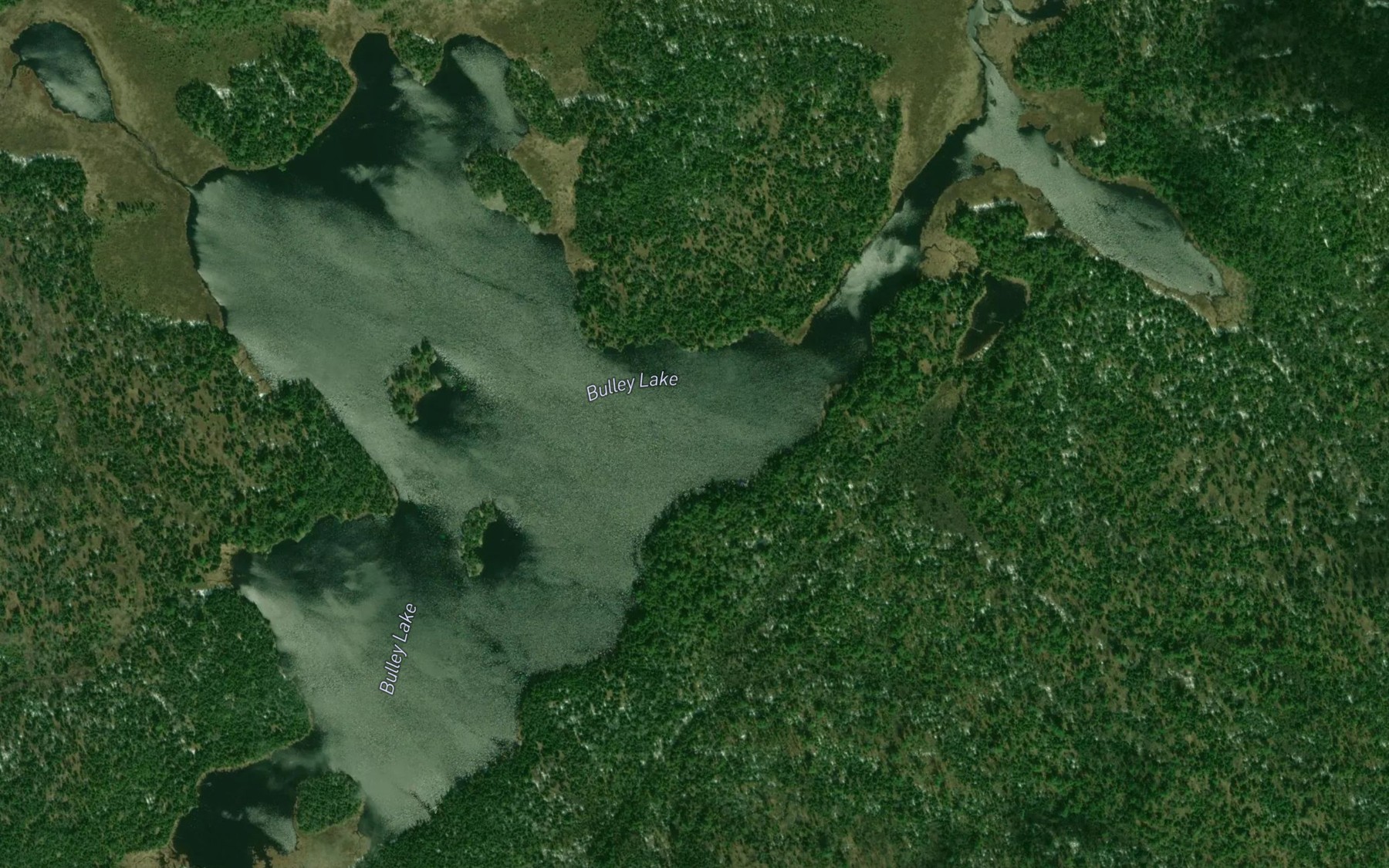 Satellite map of the Bulley Lake