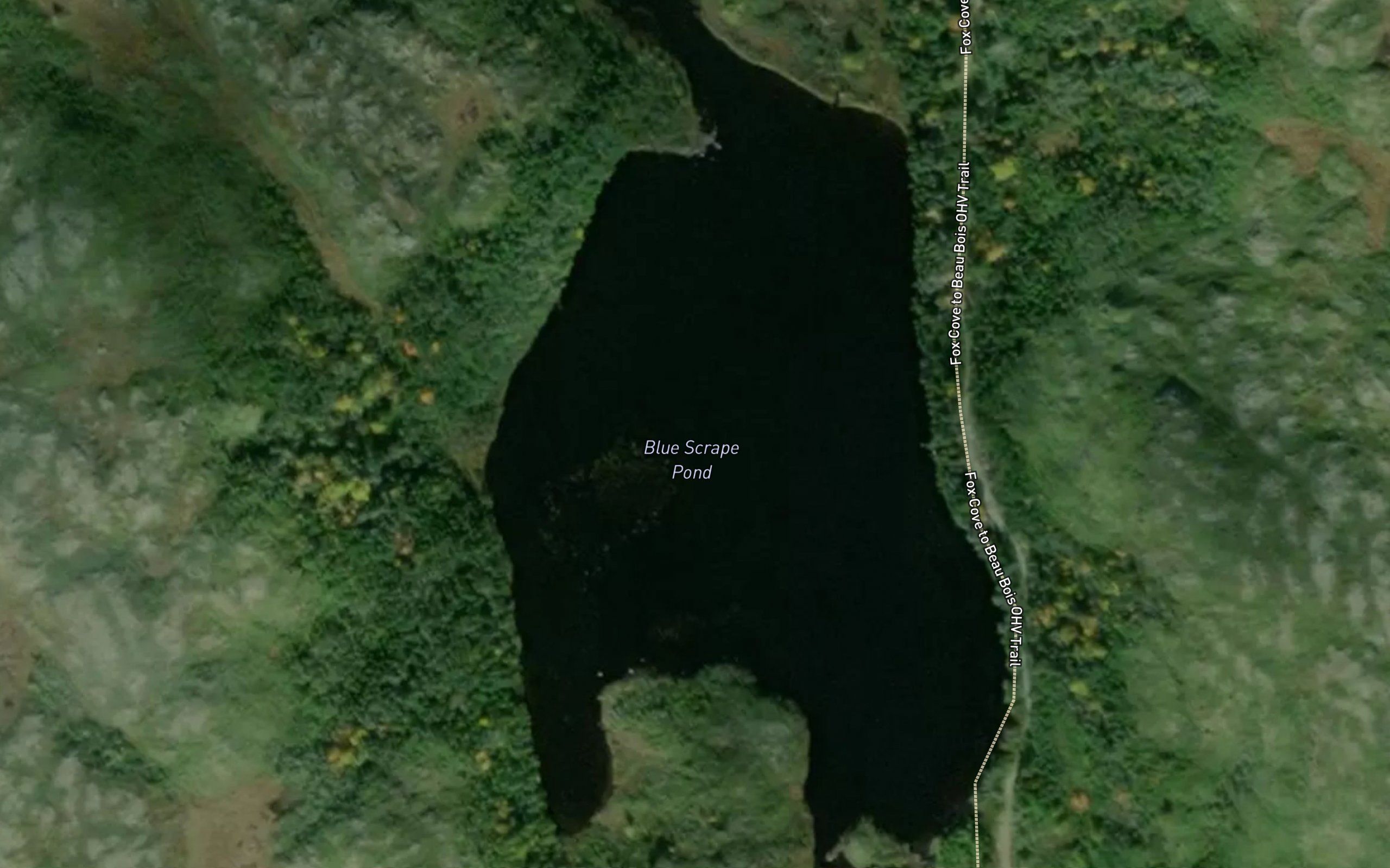 Blue Scrape Pond