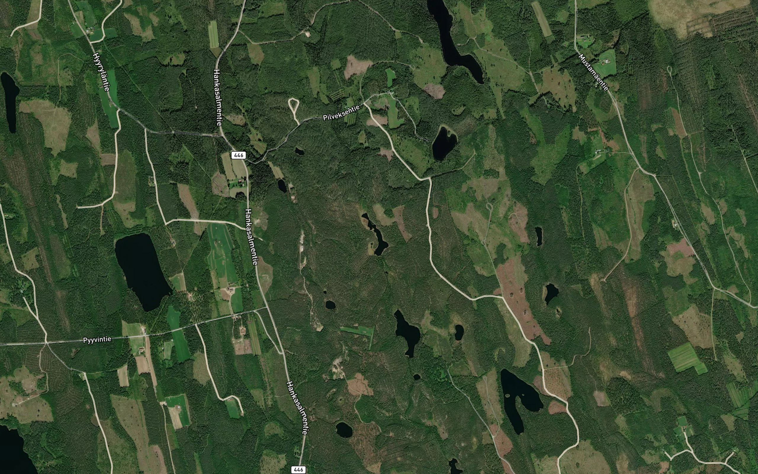 Kortelampi