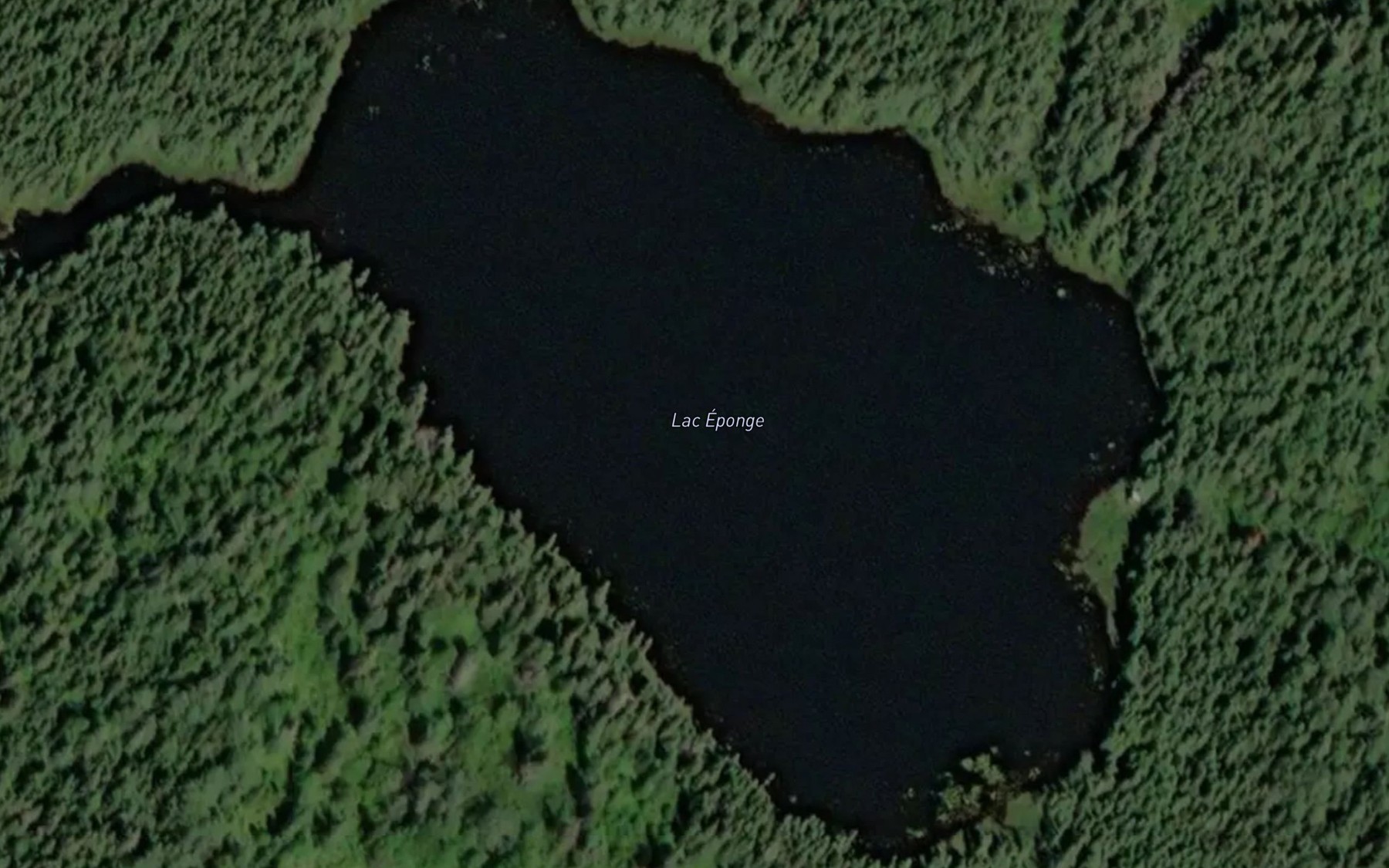 Satellite map of the Lac Eponge
